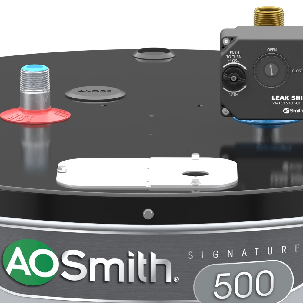 A.O. Smith Signature 500 55-Gallon Tall 12-Year 5500-Watt Double