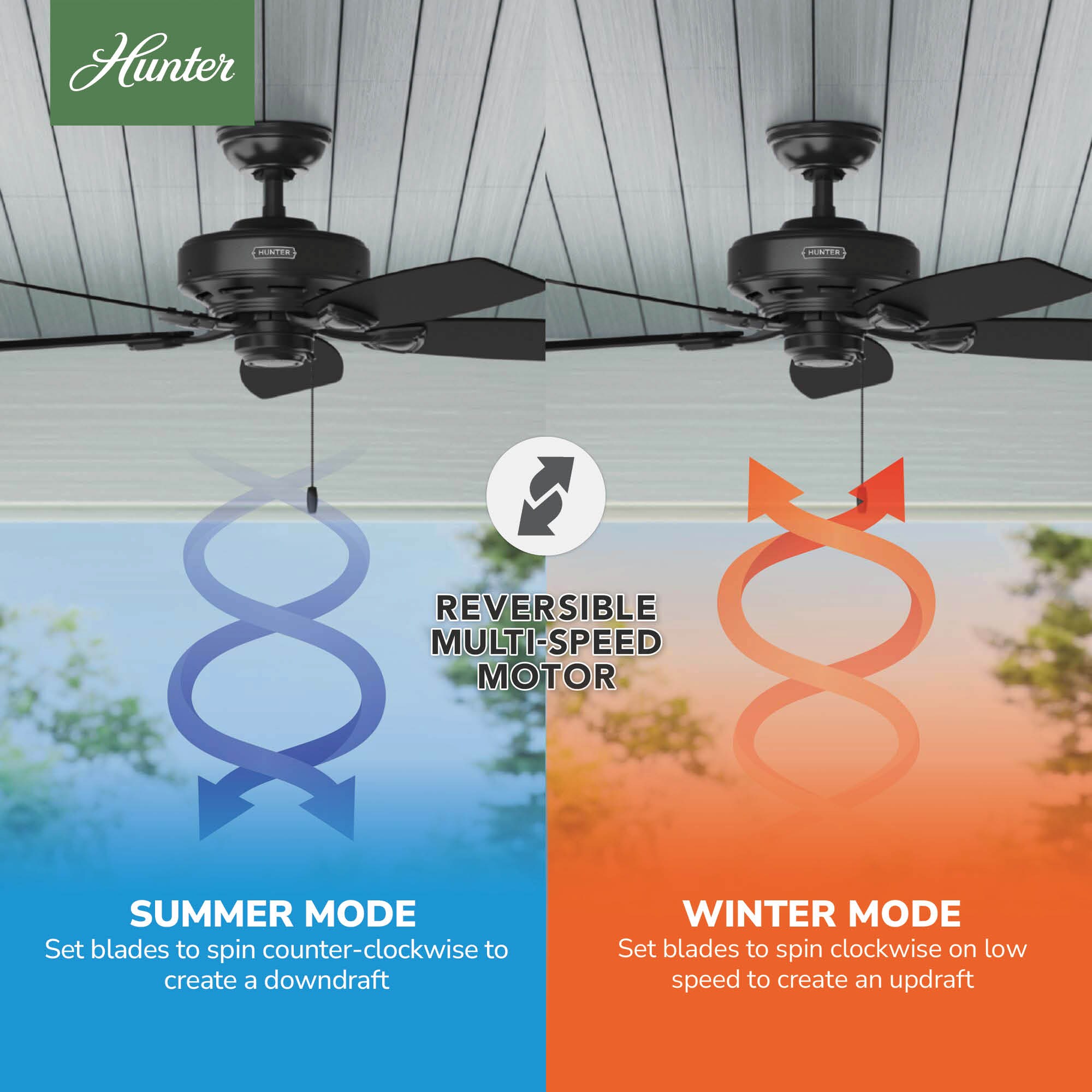 Hunter 53351 Ceiling-Fans - View #8