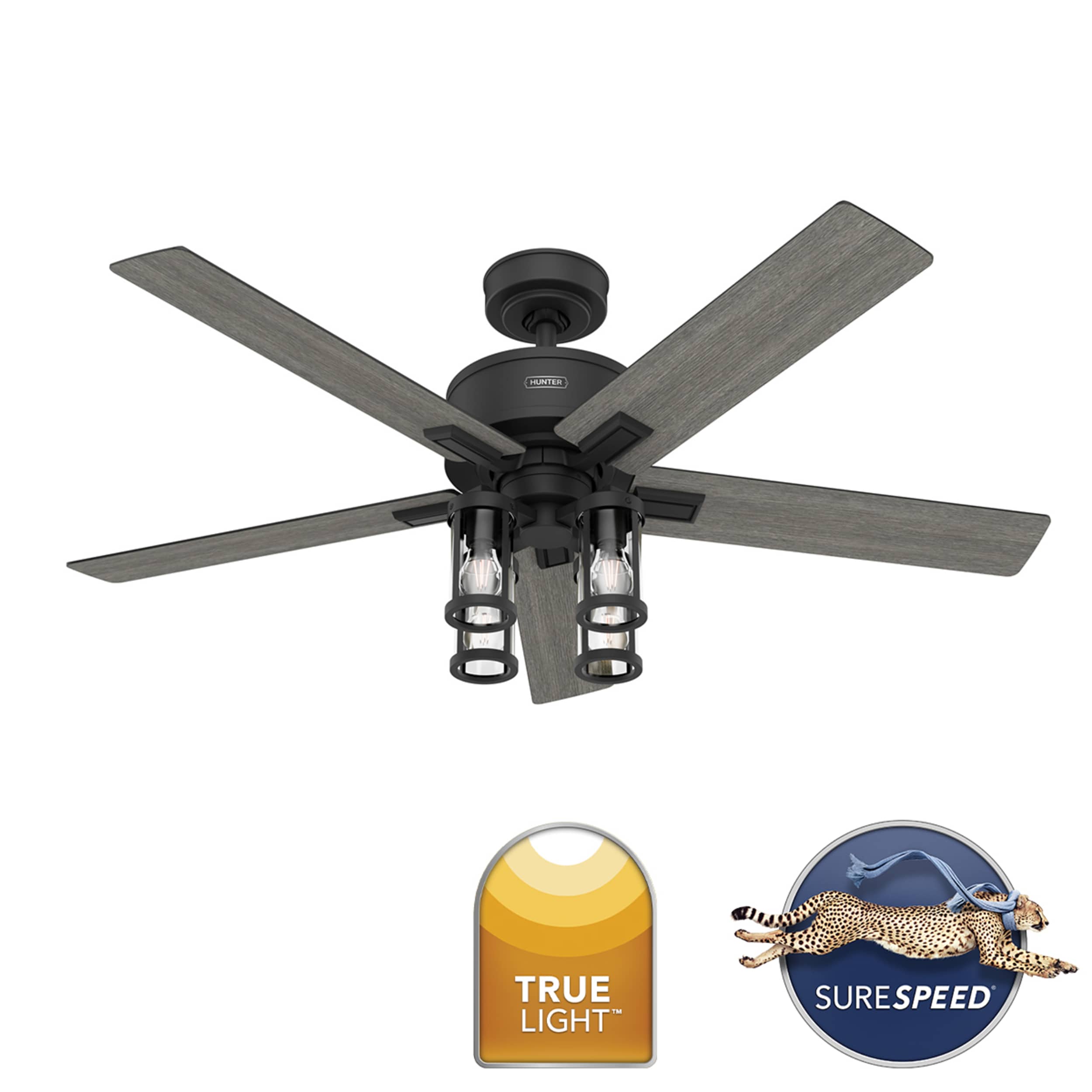 Hunter 52994 Ceiling-Fans - View #4