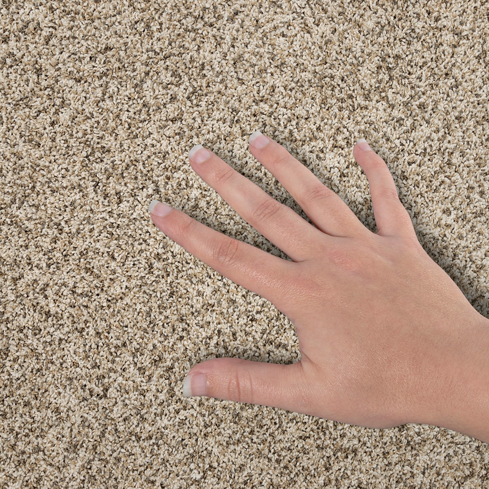STAINMASTER SS040-12-L005 Carpet-Panel - View #4