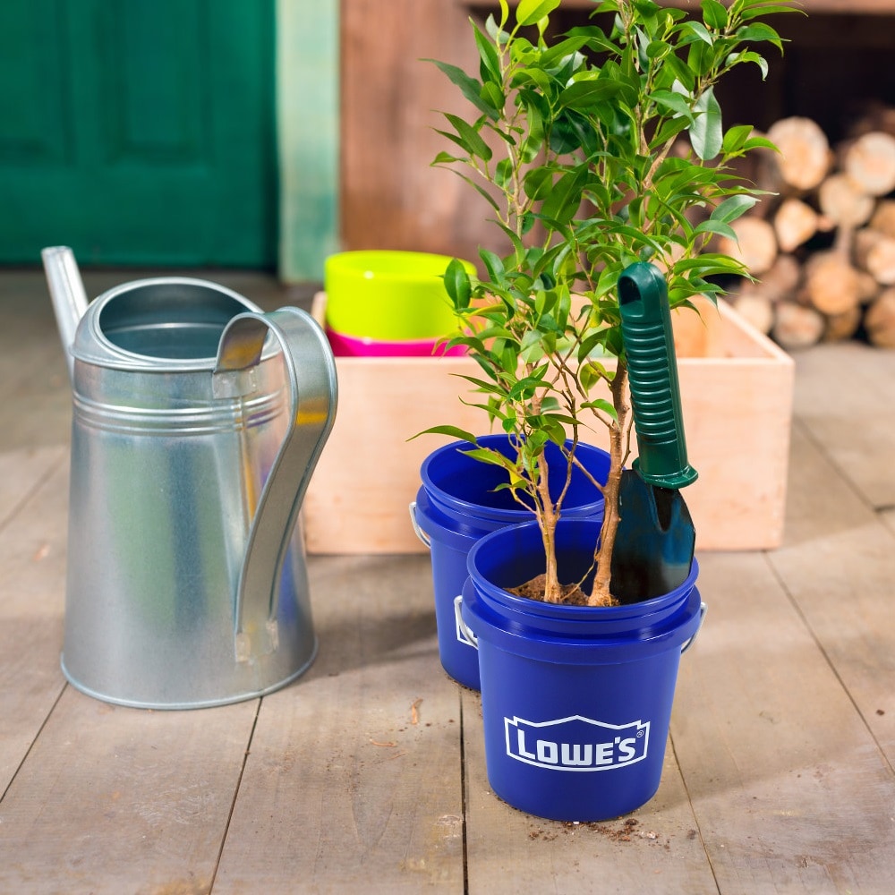 Lowe's 0.5-Quart BPA-Free Food-grade Polypropylene Paint Bucket