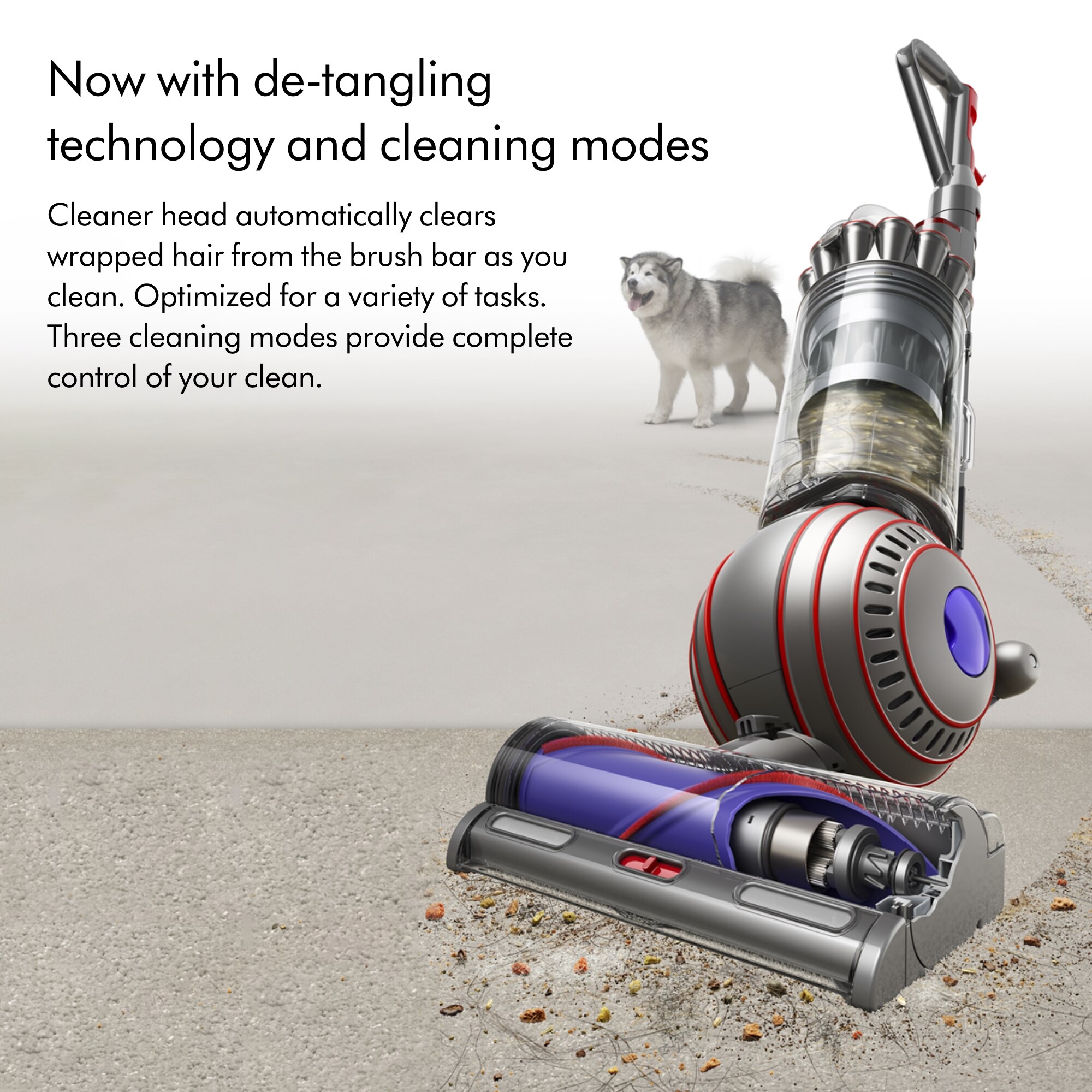 Dyson Corded Bagless Pet Upright Vacuum with HEPA Filter