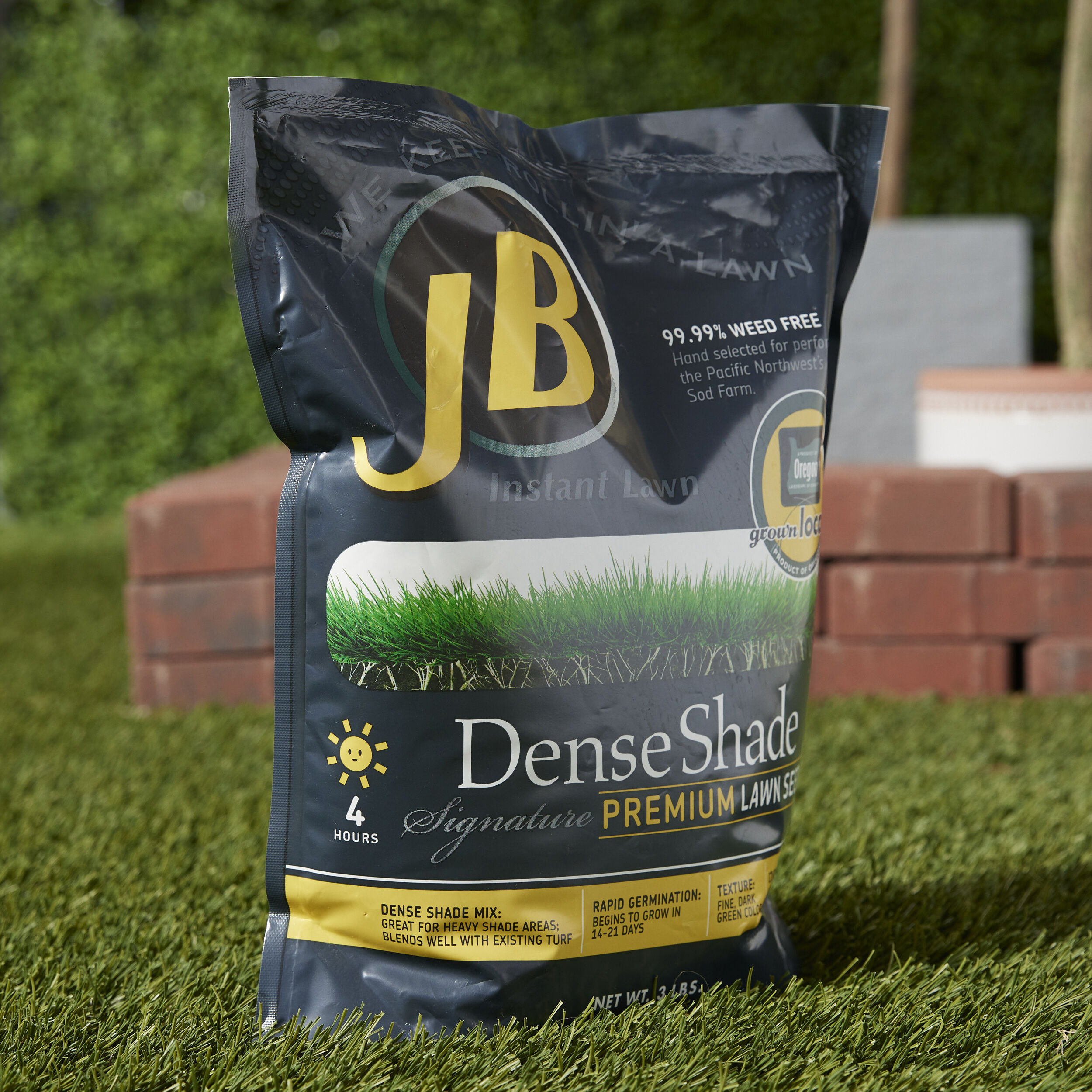 JB Instant Lawn DENSE3 Grass-Seed - View #7