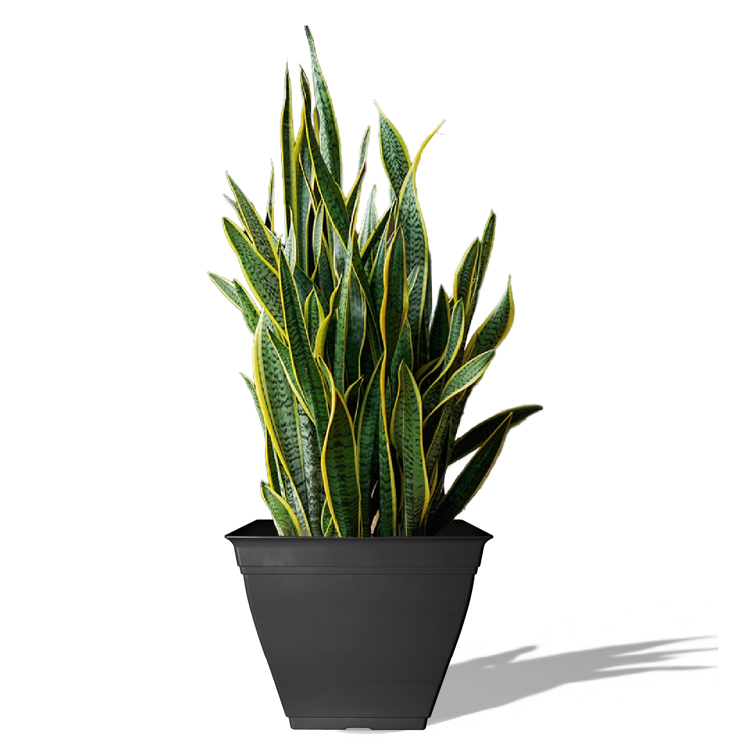 Style Selections SQ2132D Planter-Window-Box - View #2