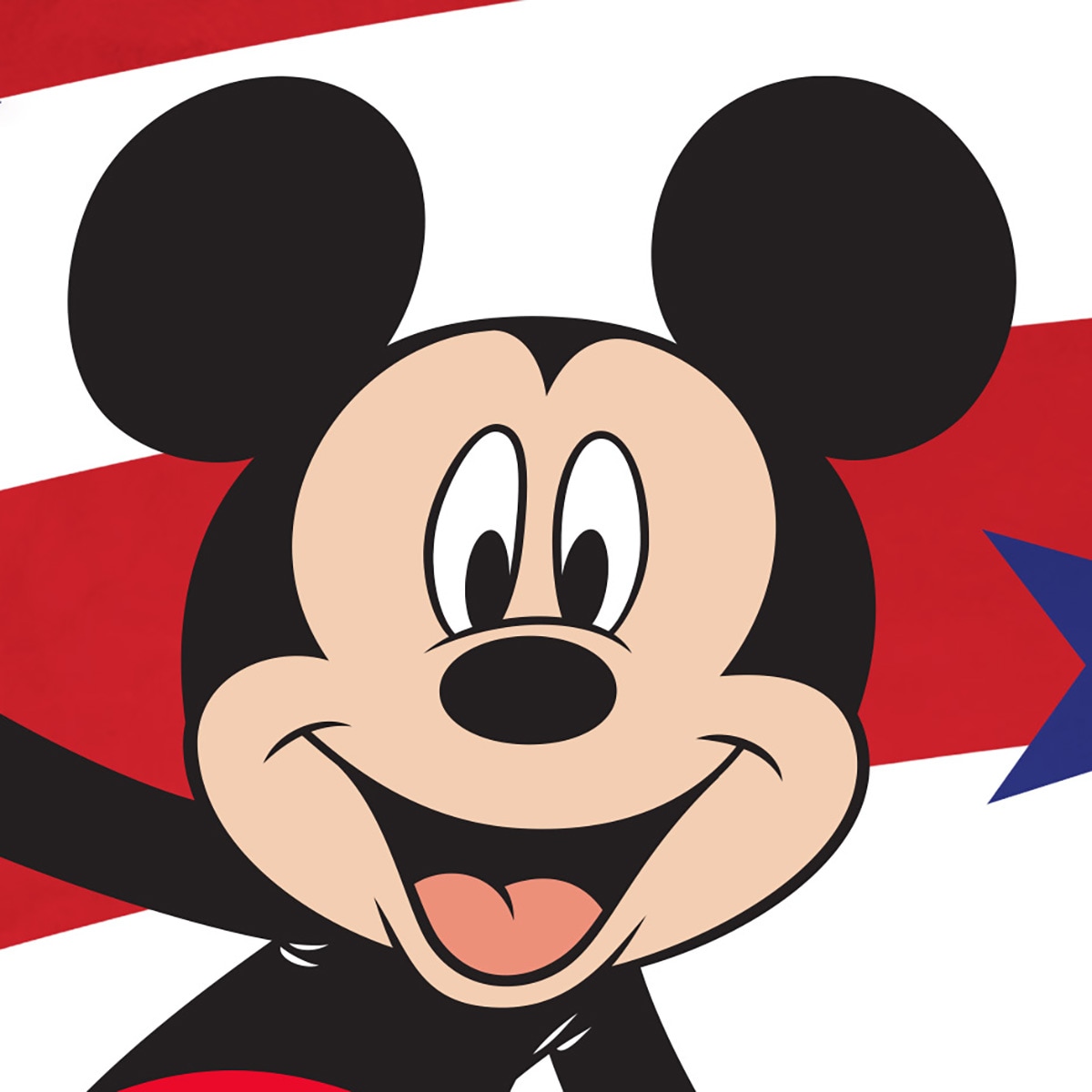 Disney 1.04-ft W x 1.5-ft H Patriotic Garden Flag Kit 10-1209-92F-01 at ...