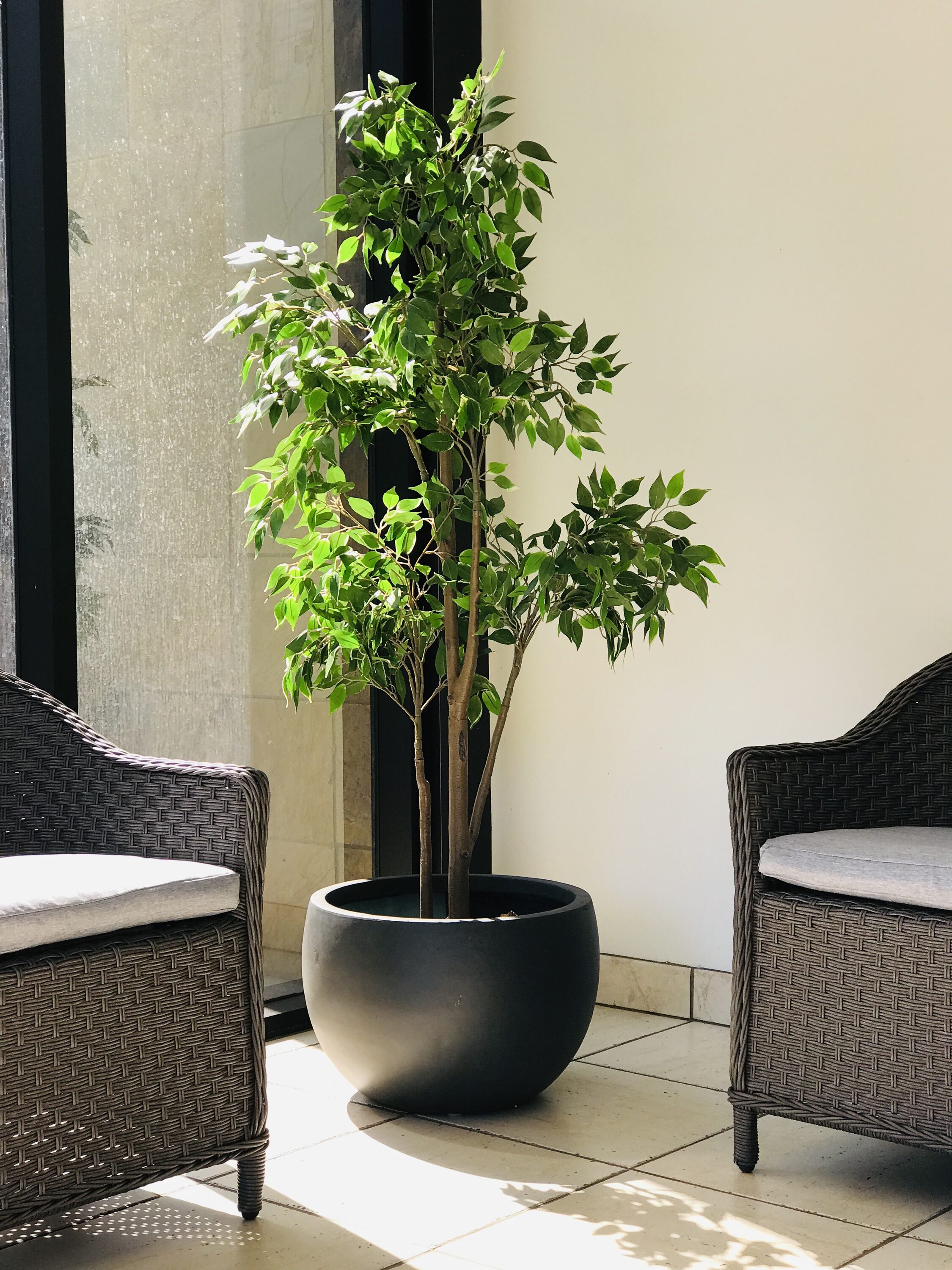 KANTE RC0049C-C60121 Planter-Window-Box - View #5