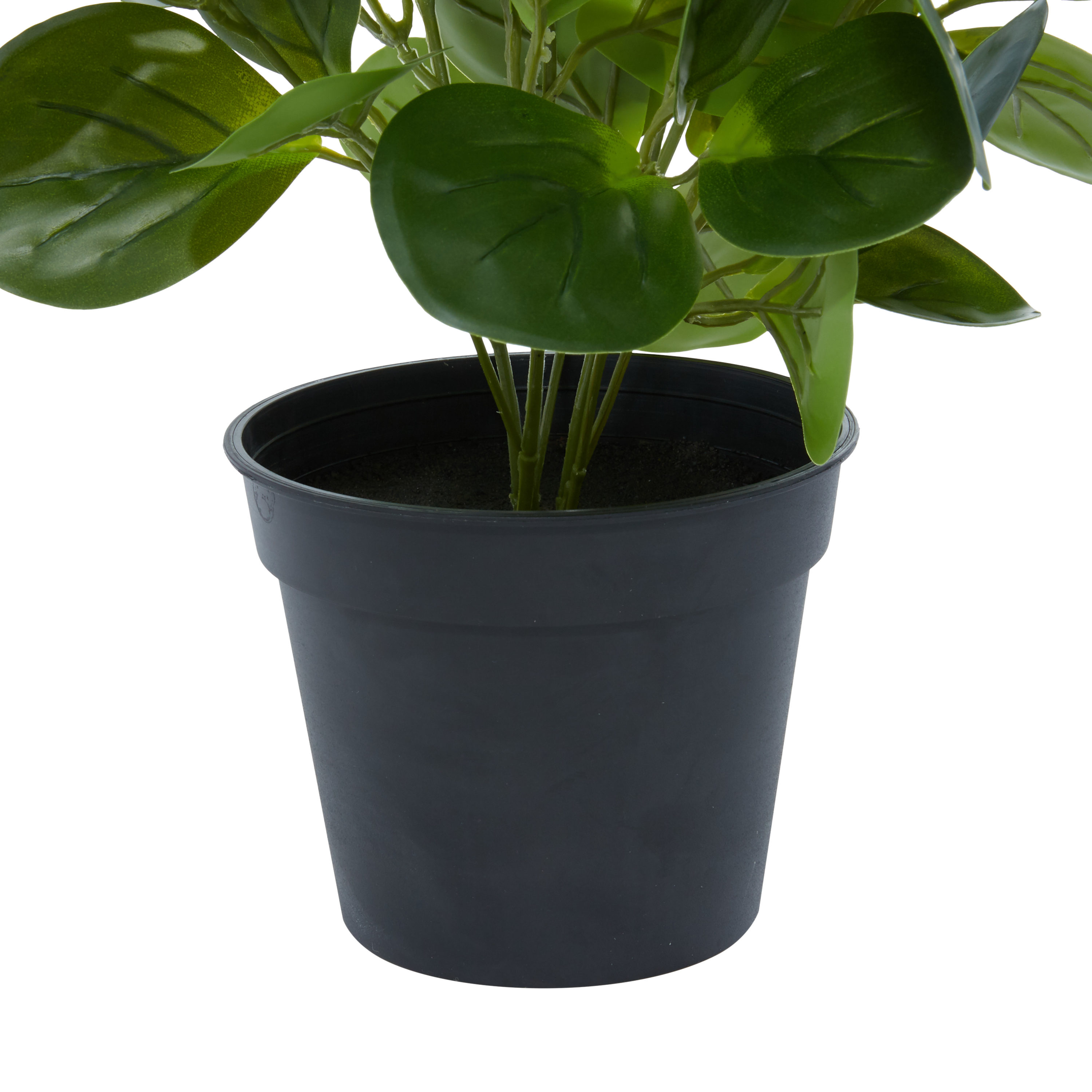 13" Green Artificial Eucalyptus Plant in Black Pot