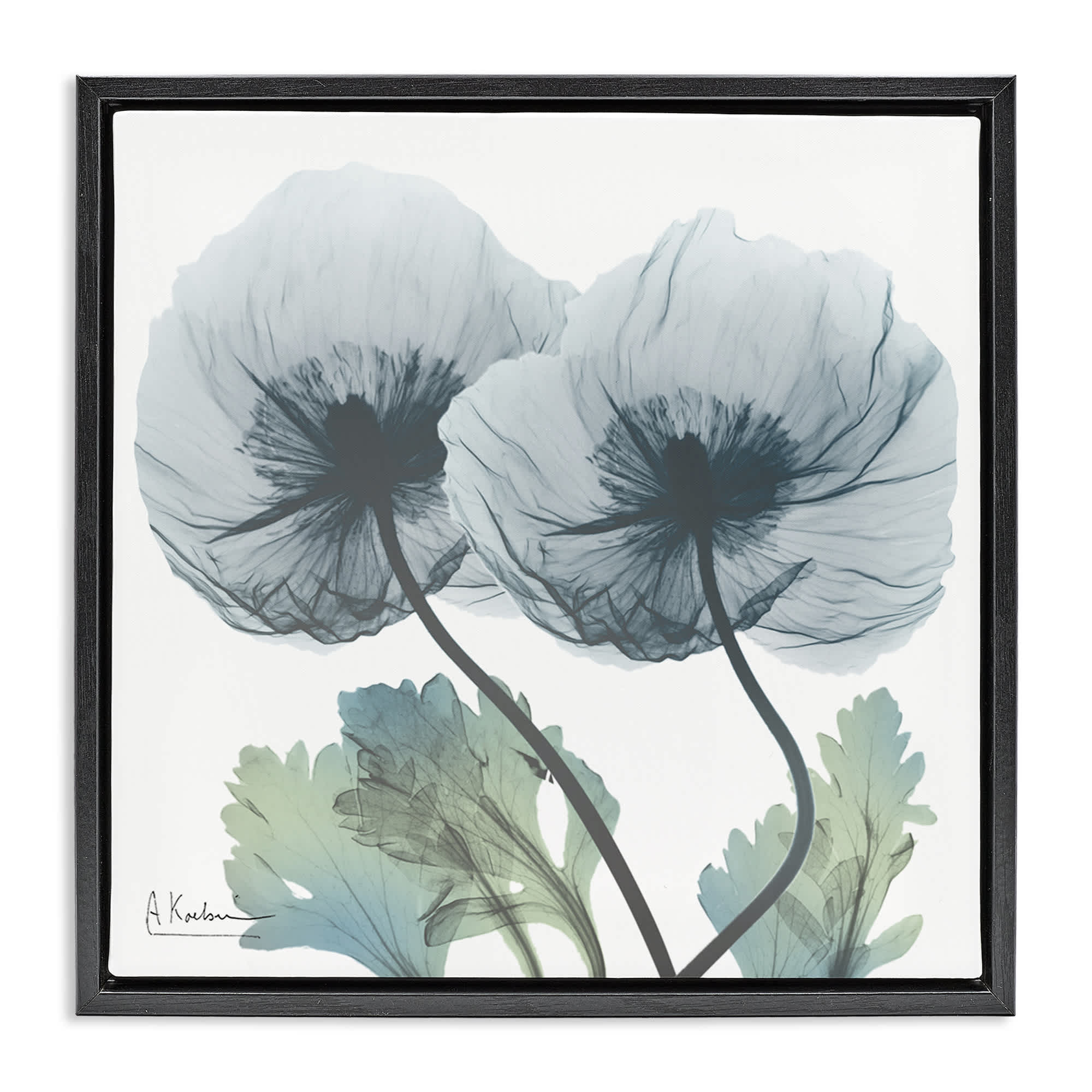 Stupell Industries BS-016-FFB-17X17 Double Modern Flower Blossoms Black Framed Floater Canvas Wall Art By Albert Koetsier 18 x 18