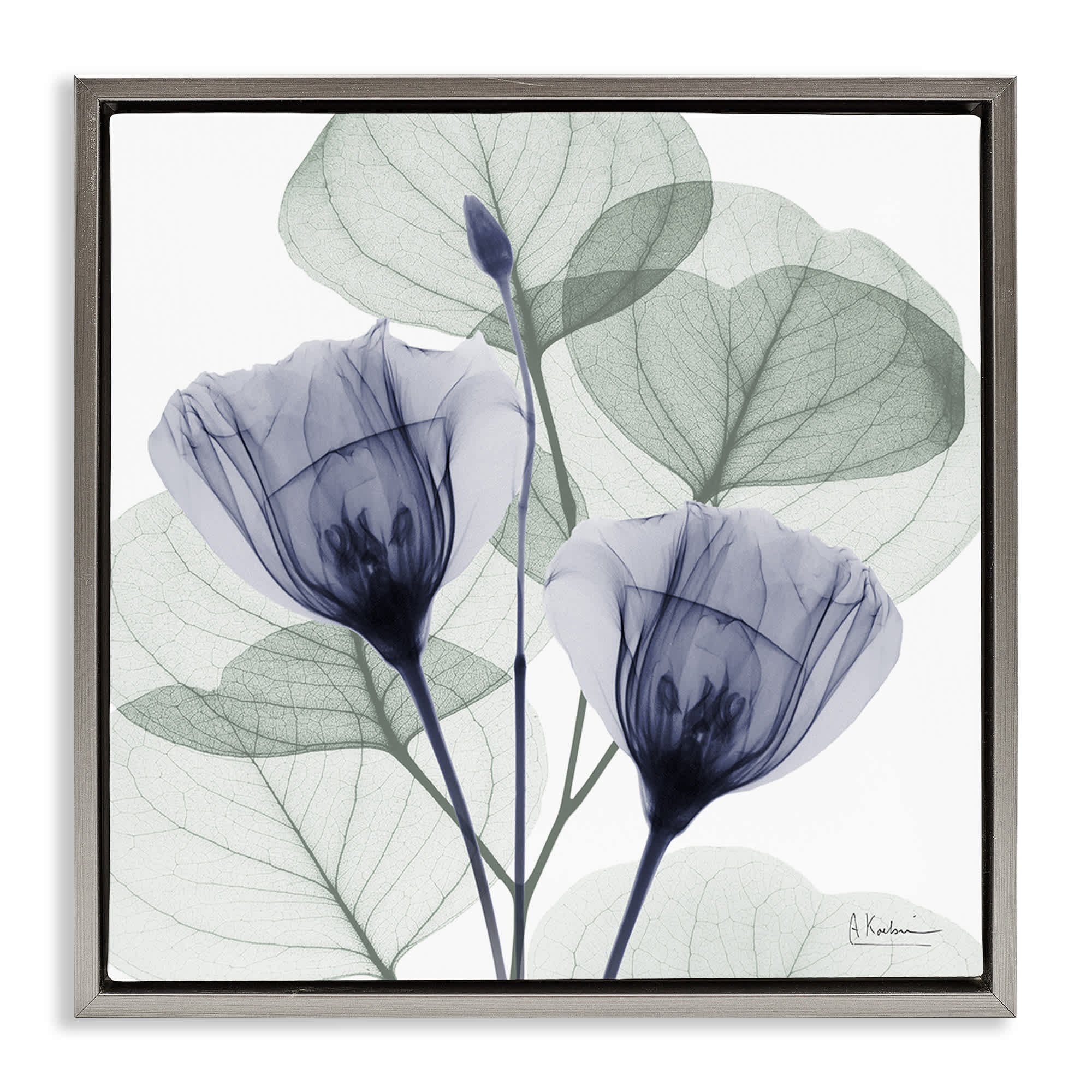 Stupell Industries BS-023-FFL-17X17 Contemporary Eucalyptus and Herbs Gray Framed Floater Canvas Wall Art By Albert Koetsier 18 x 18
