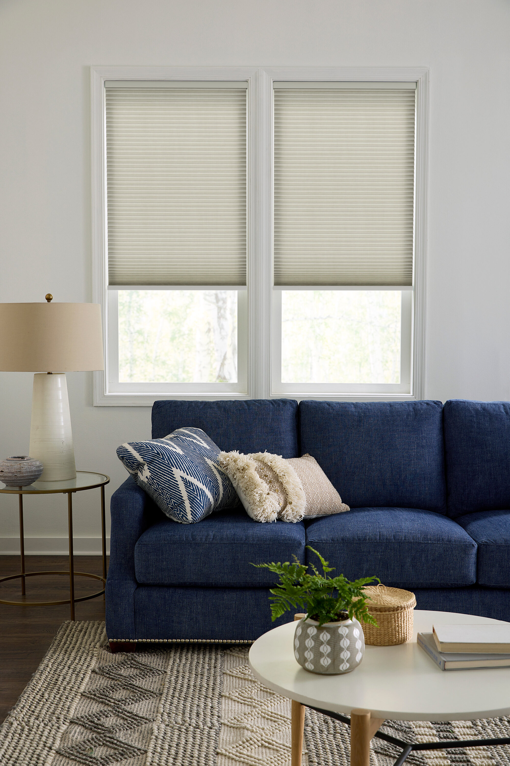 Levolor Light Filtering Cellular Shades