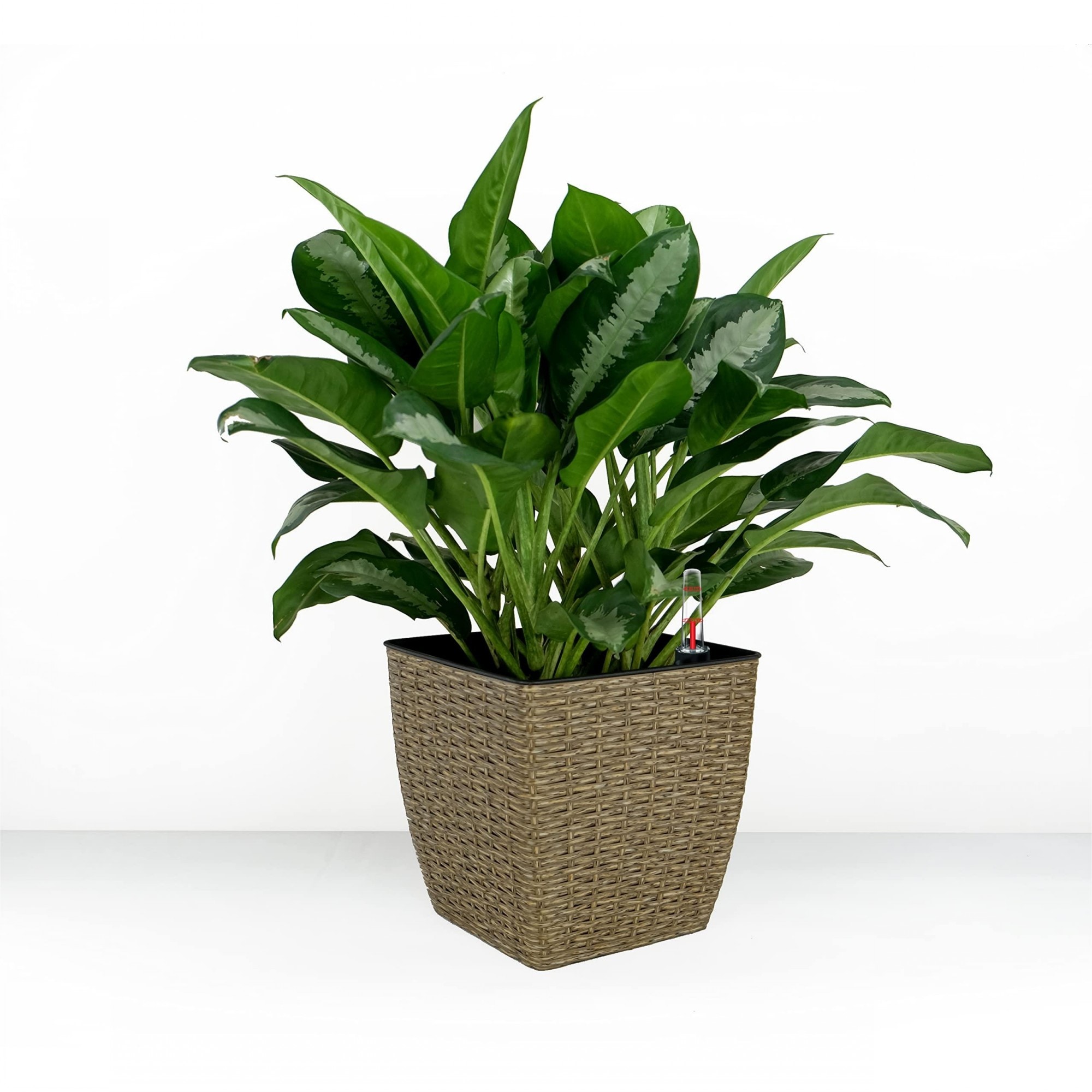 Yiekholo LL-1686AA Planter-Window-Box - View #2