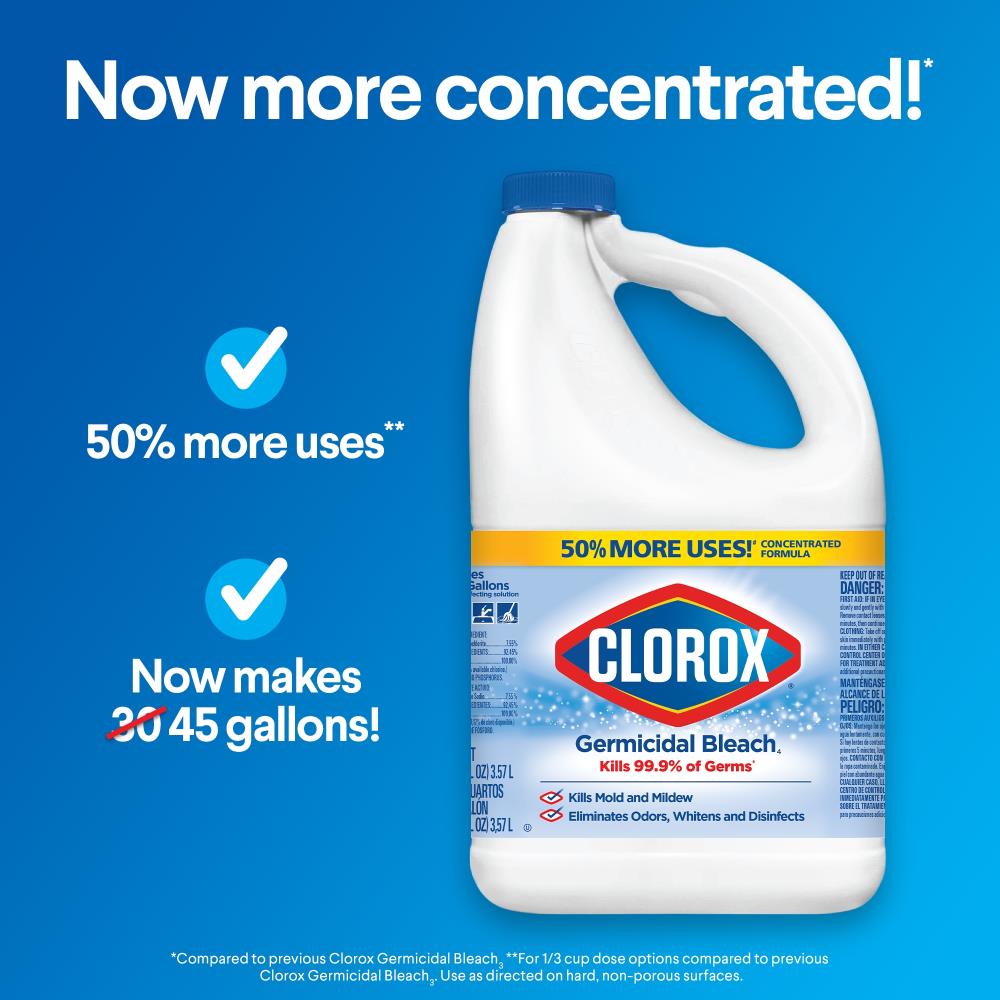 Clorox 14-oz Laundry Stain Remover