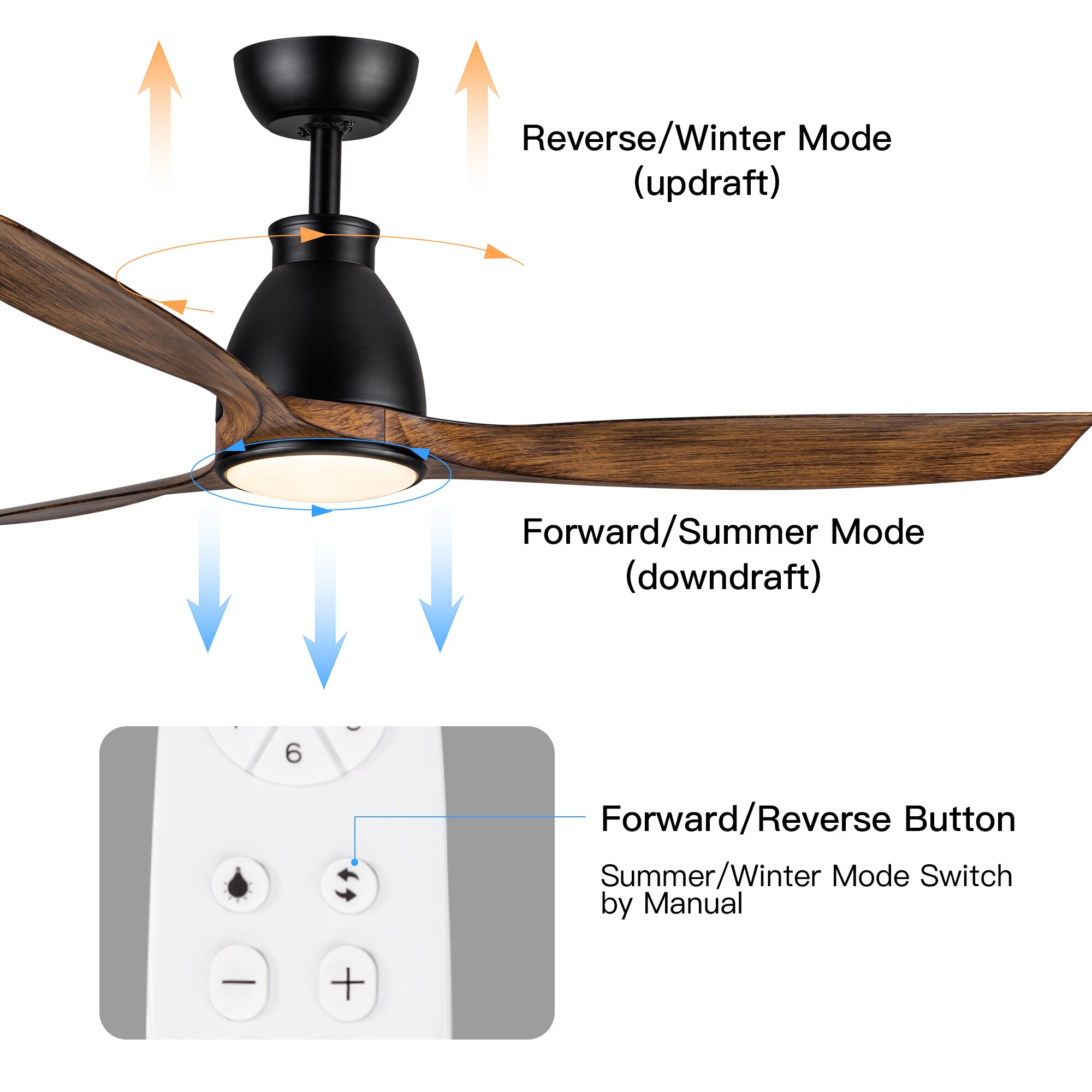 Tenleaf ICFX-06-1 Ceiling-Fans - View #6
