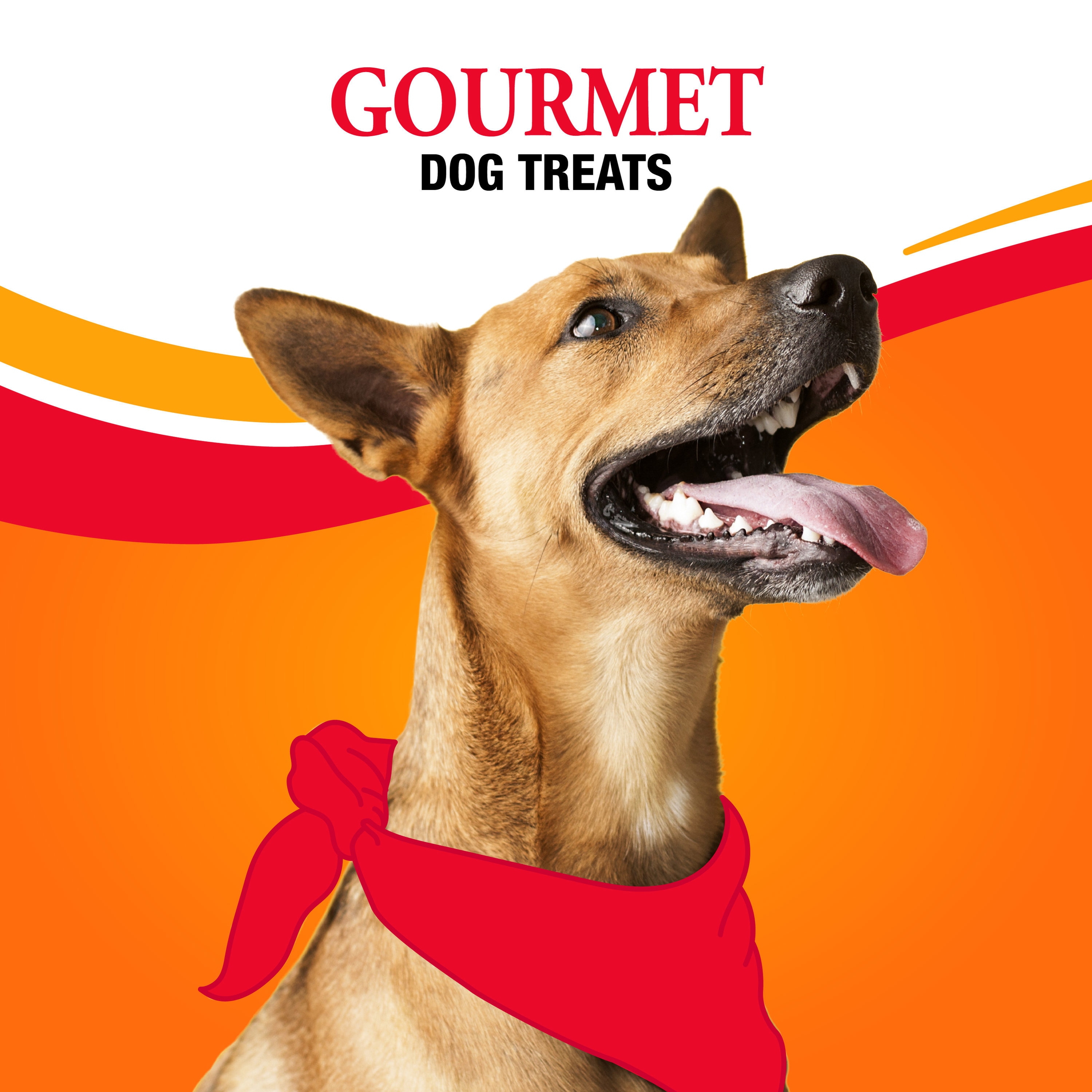 Good 'n' Fun P-94187-10 Dog-Treats - View #9
