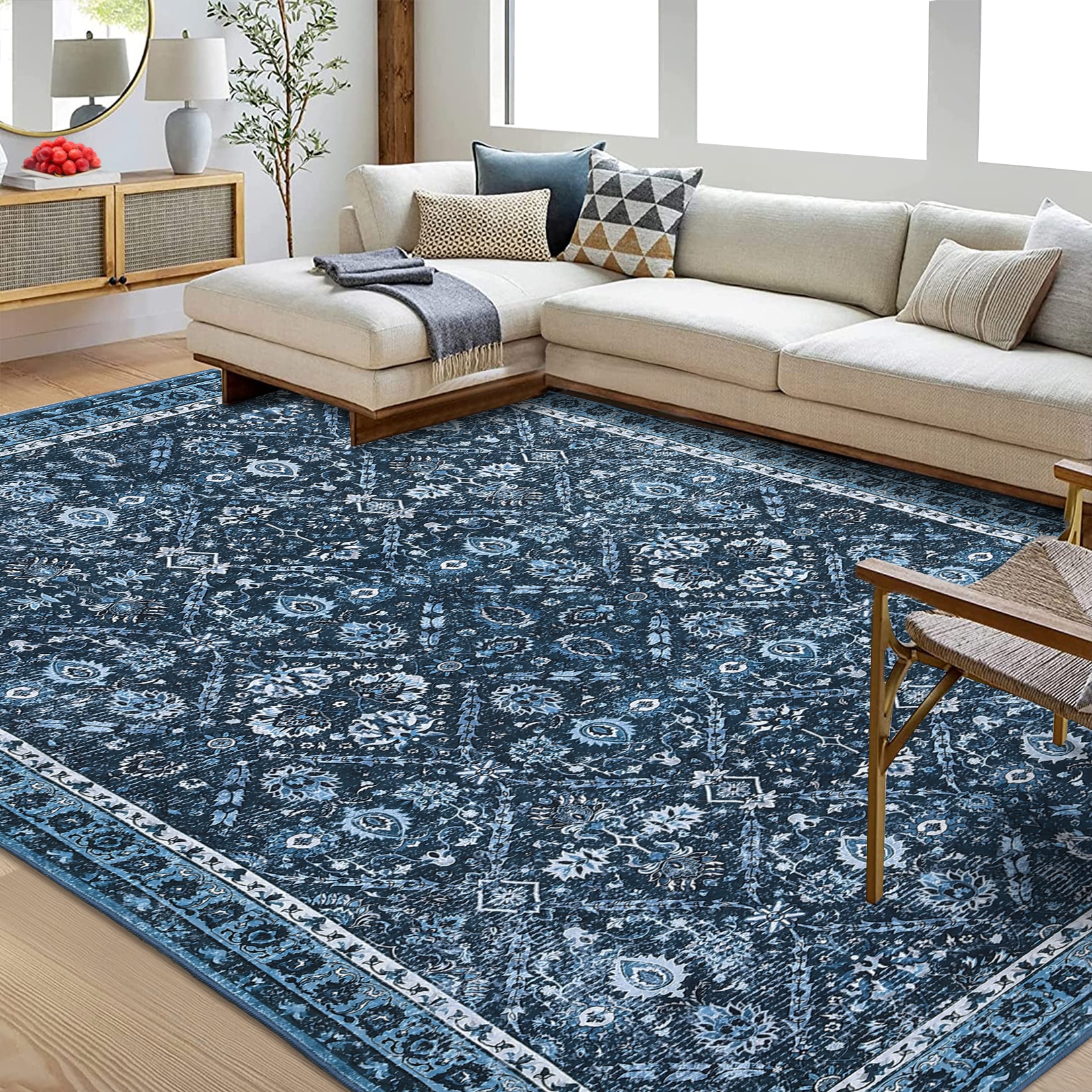 Assile ASRUG26820119CICB rugs - View #2
