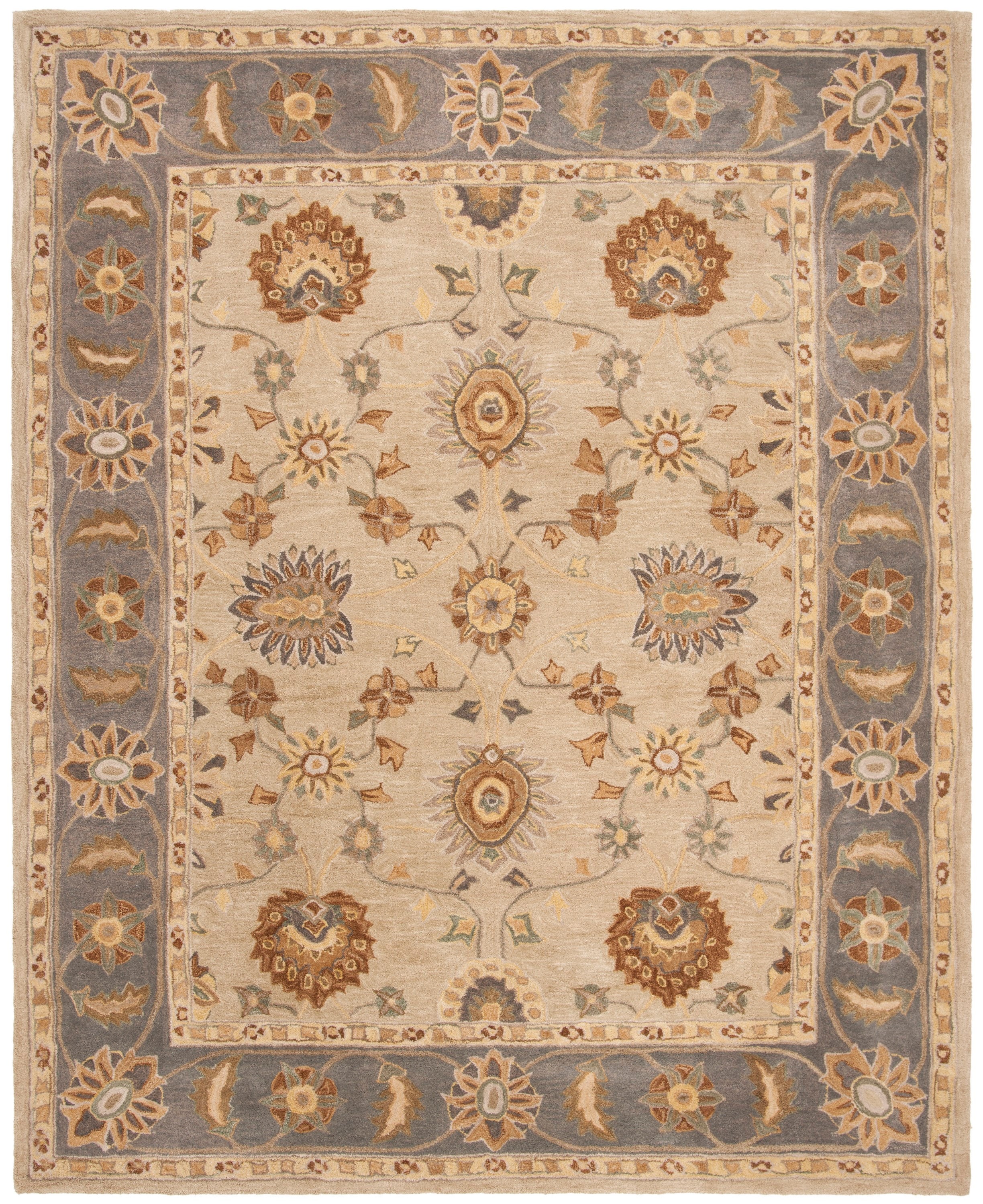 Safavieh AN561A-9 rugs - View #2