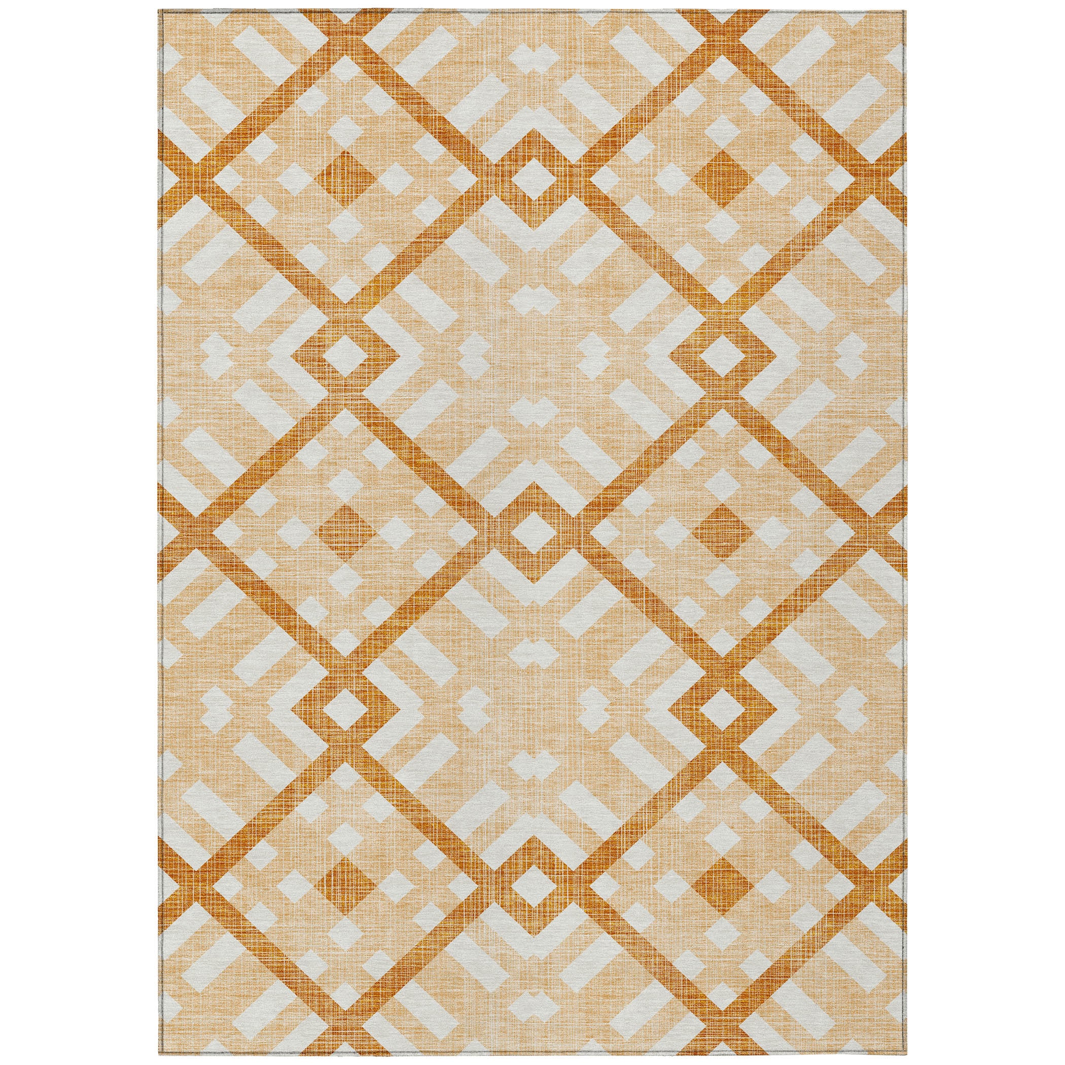 Addison Rugs ACN616PH30X46 rugs - View #2