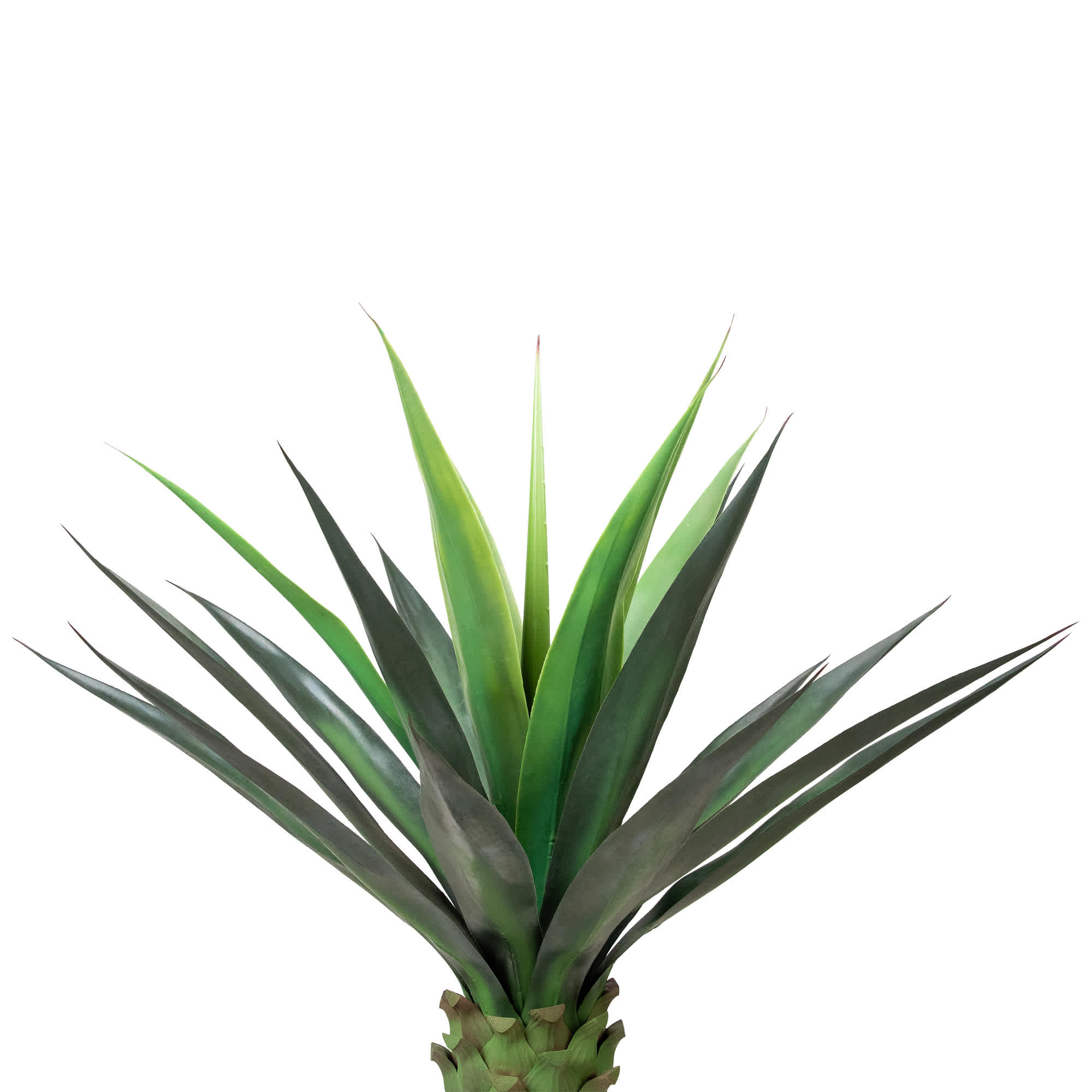 Northlight NORTHLIGHT SM97462 Artificial-Plants-Trees - View #4