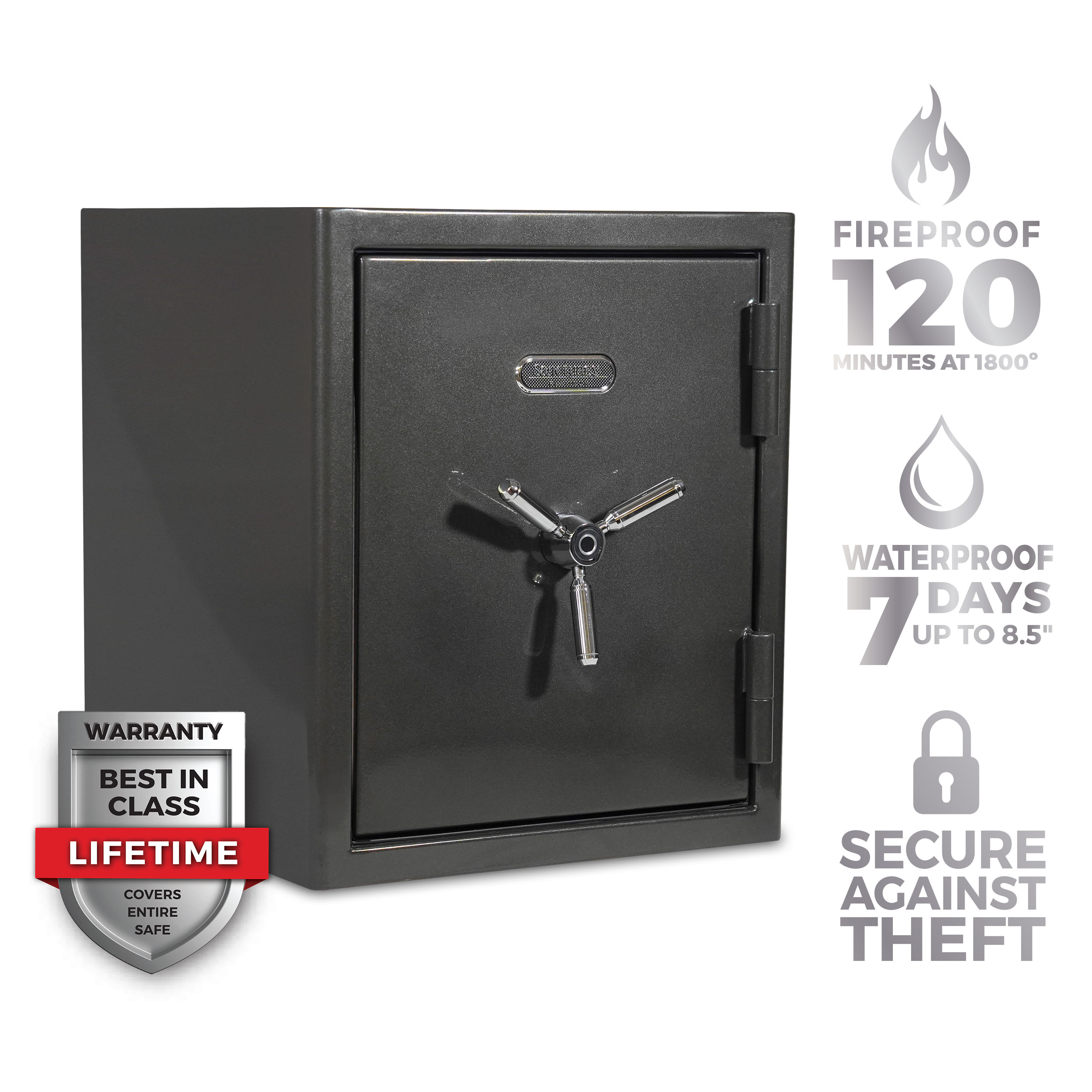 Sanctuary SA-PLAT3-BIO-DP 3.32-cu ft Fireproof , Waterproof Home safe with Biometric Lock