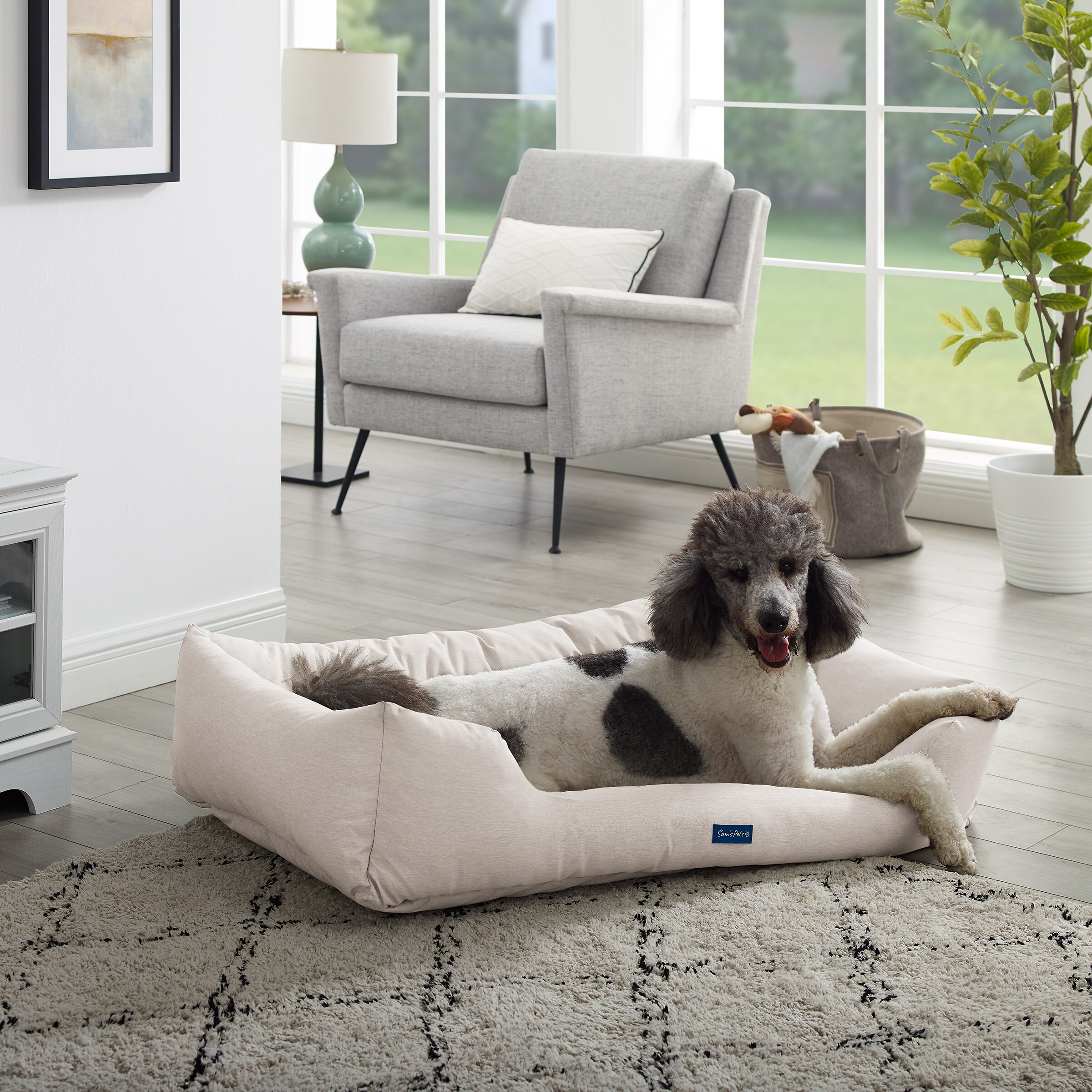 Dog beds outlet sams