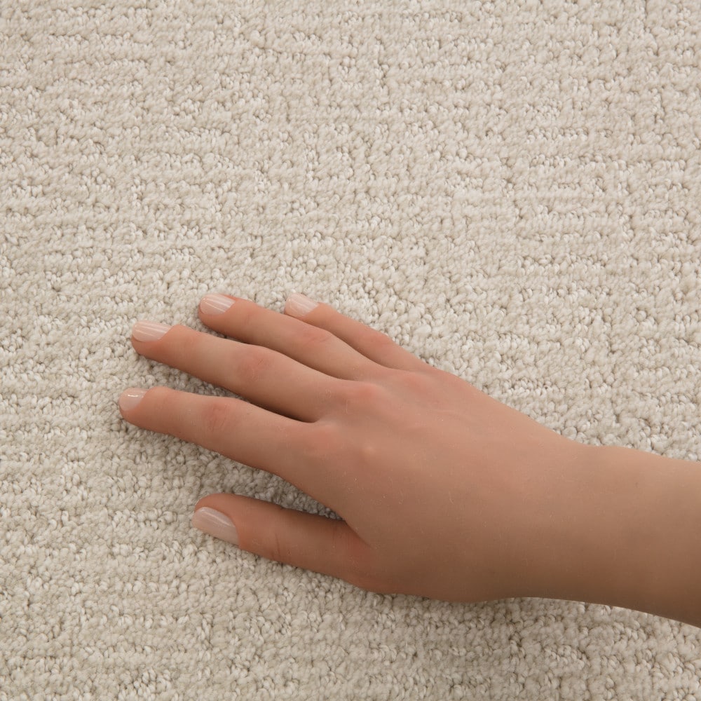 STAINMASTER PetProtect 7L946-101-SAMP Carpet-Samples - View #4