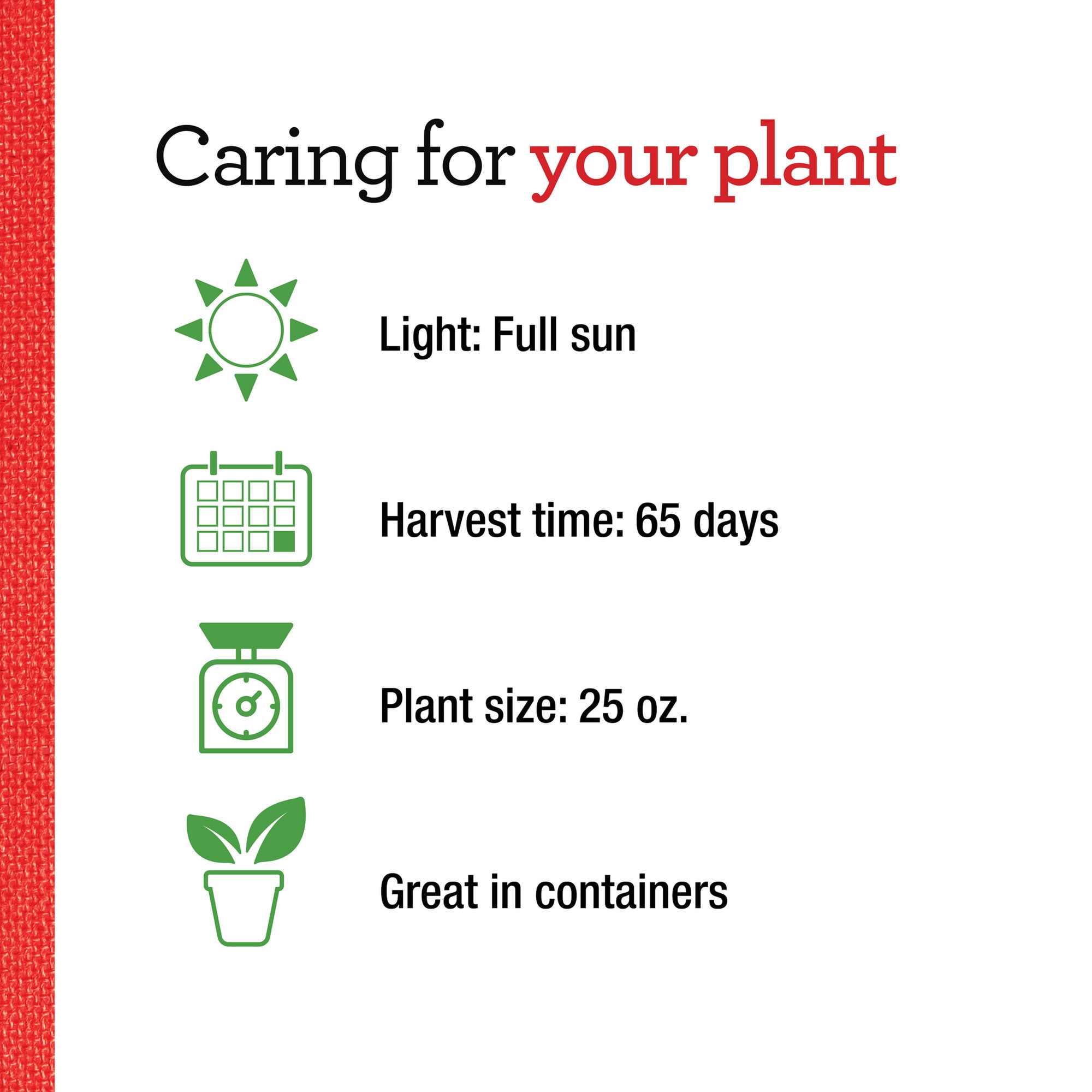 Bonnie Plants 202068 Vegetable-Plants - View #5