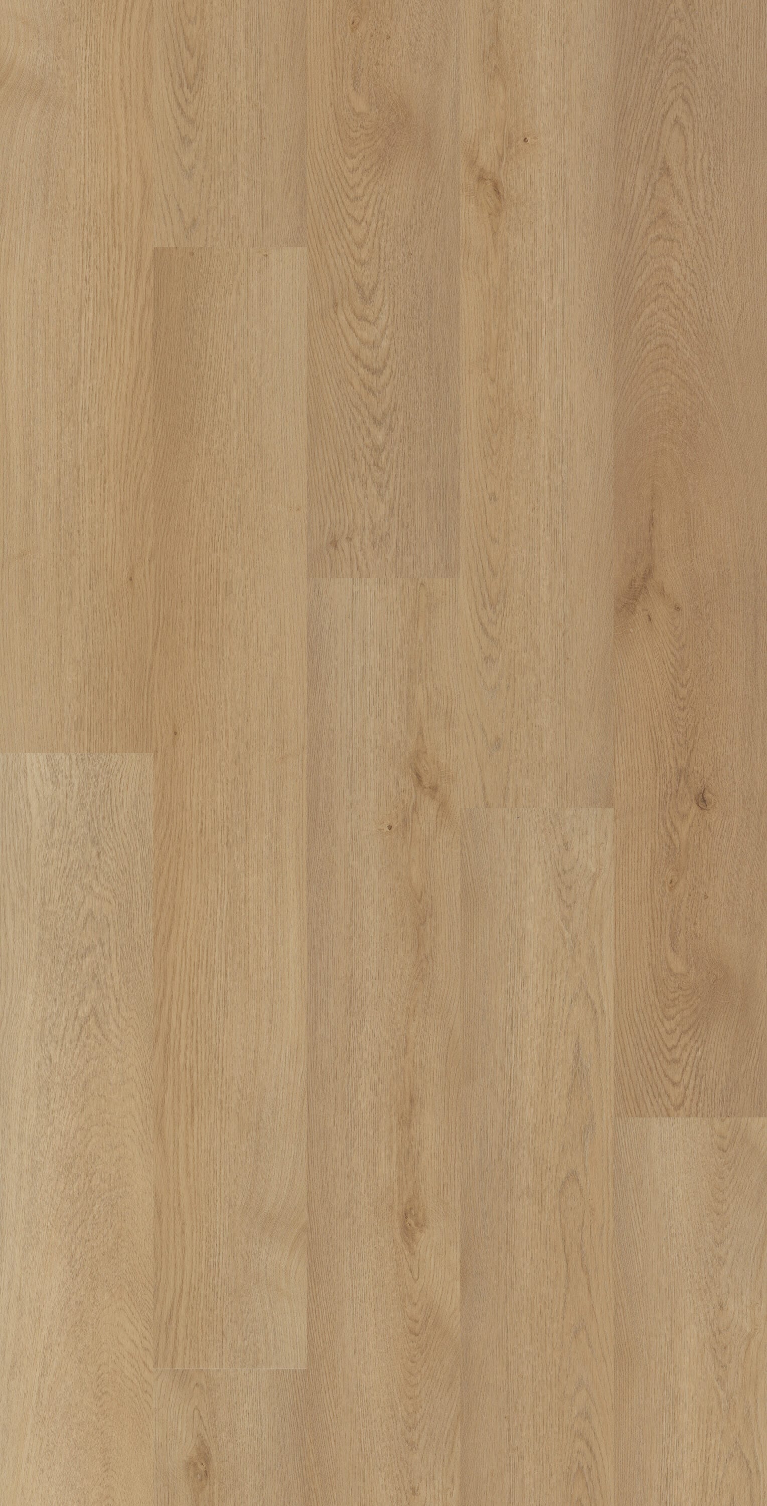 Shaw LX94200296 Vinyl-Plank - View #4