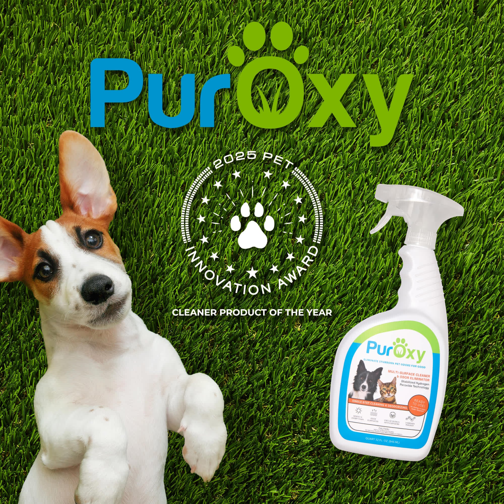 PurOxy PX32TS Outdoor-Cleaners - View #6