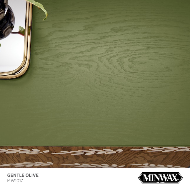 Minwax Water-based Gentle Olive Mw1017 Solid Interior Stain (1-quart) in  the Interior Stains department at