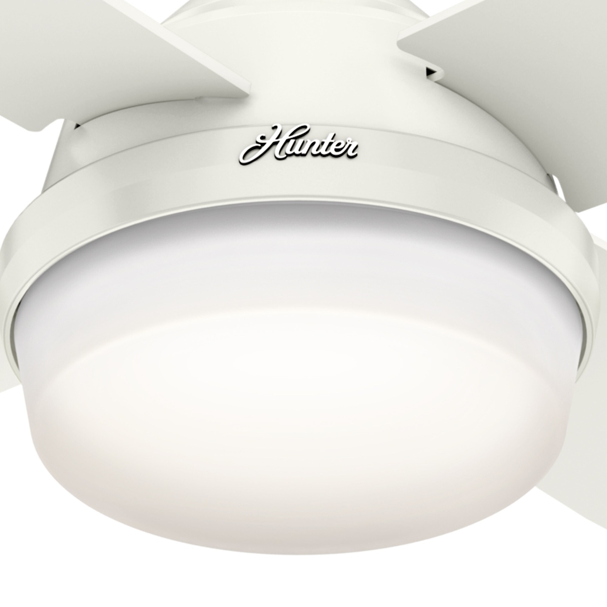Hunter 59442 Ceiling-Fans - View #12