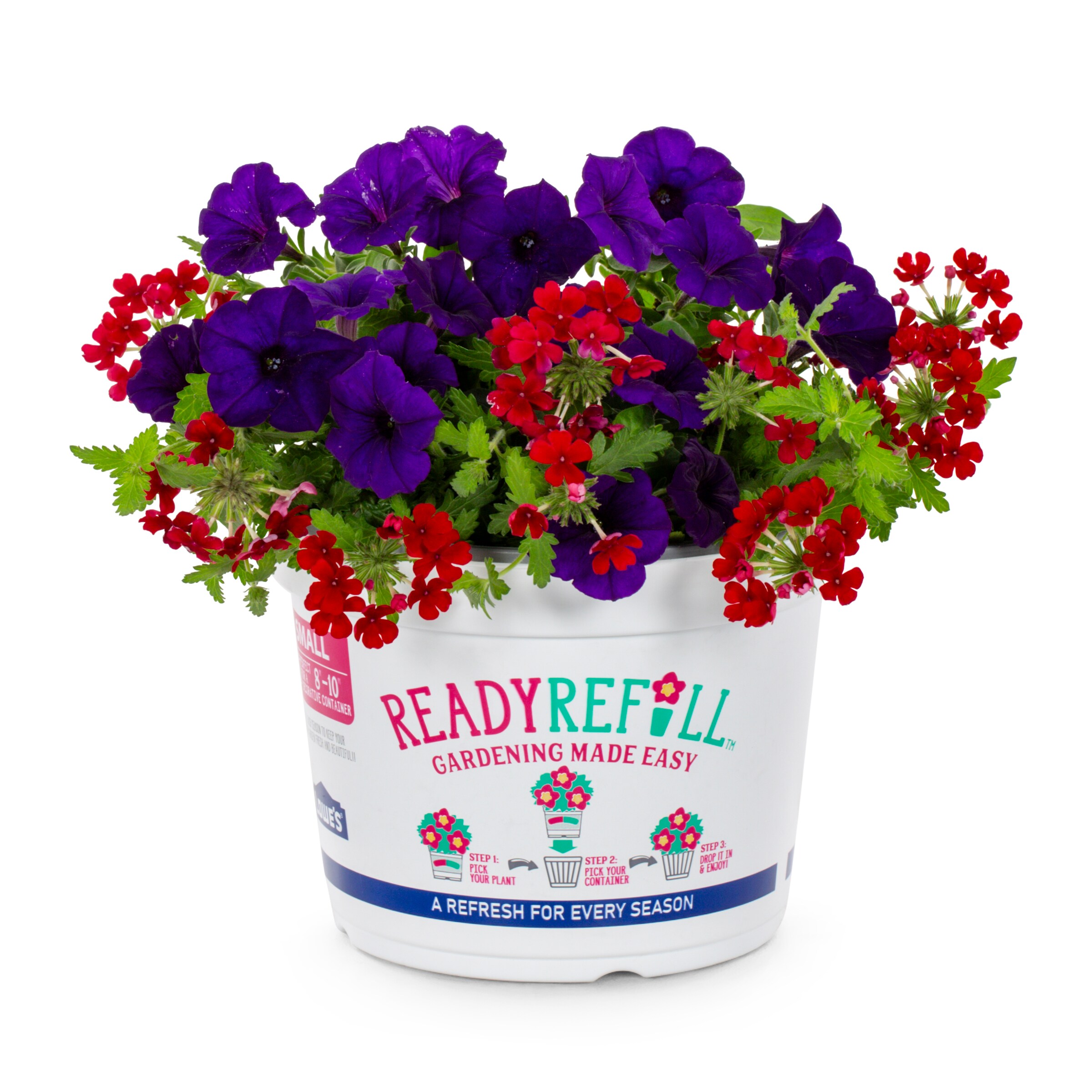 Ready Refill NURSERY Multicolor Mixed Annuals Combo in 1.5 Gallon(s) Pot 1 -Pack