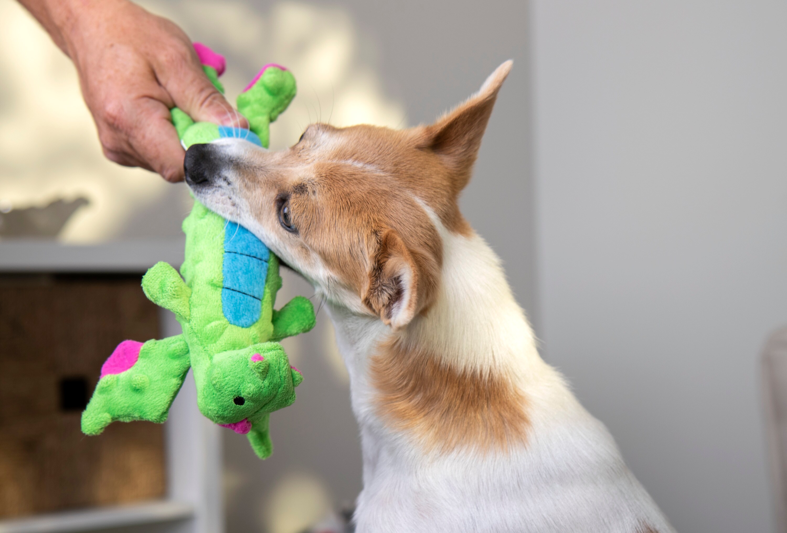 goDog 70299-98997-024 Dog-Toys - View #4