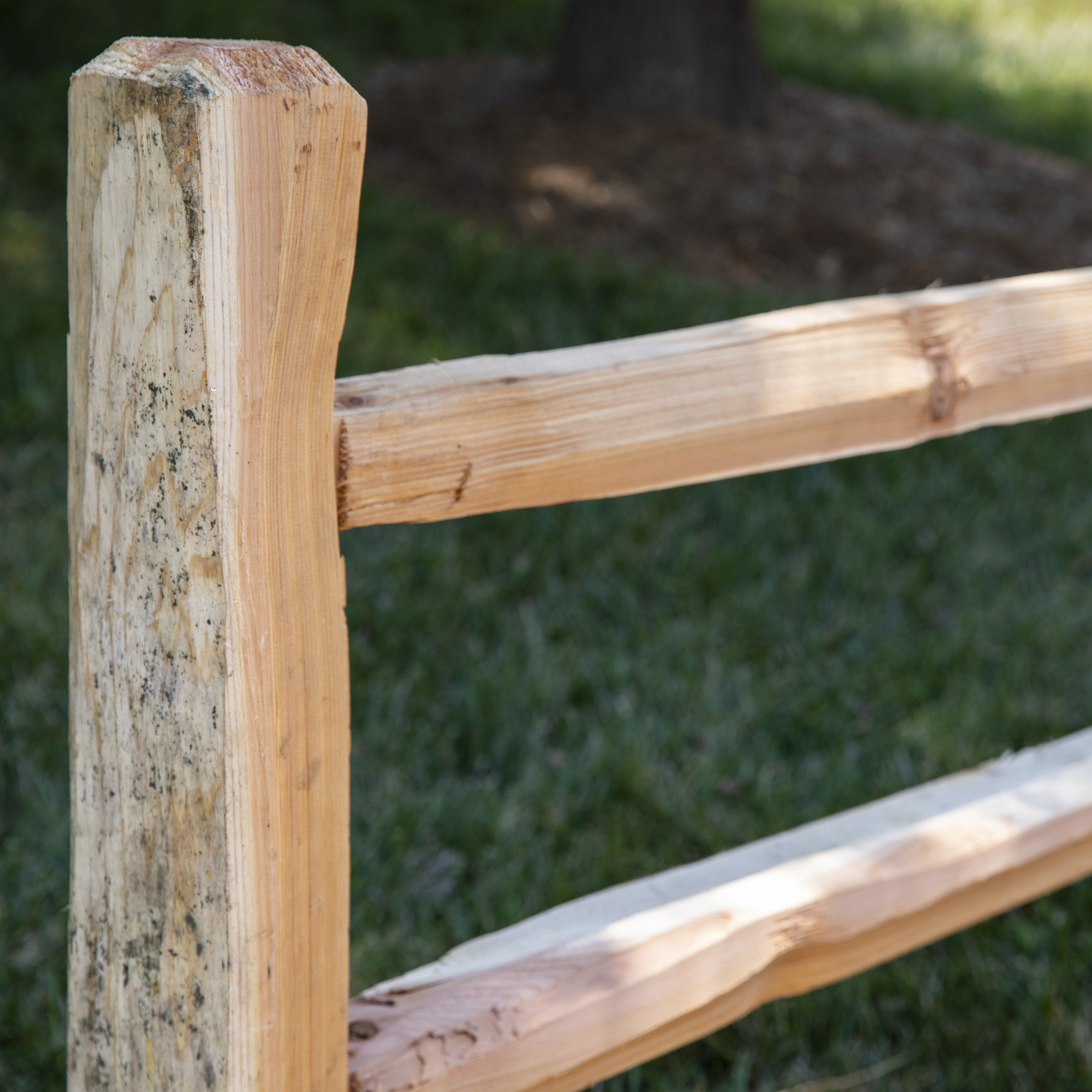  14581 Fence-Rails - View #3