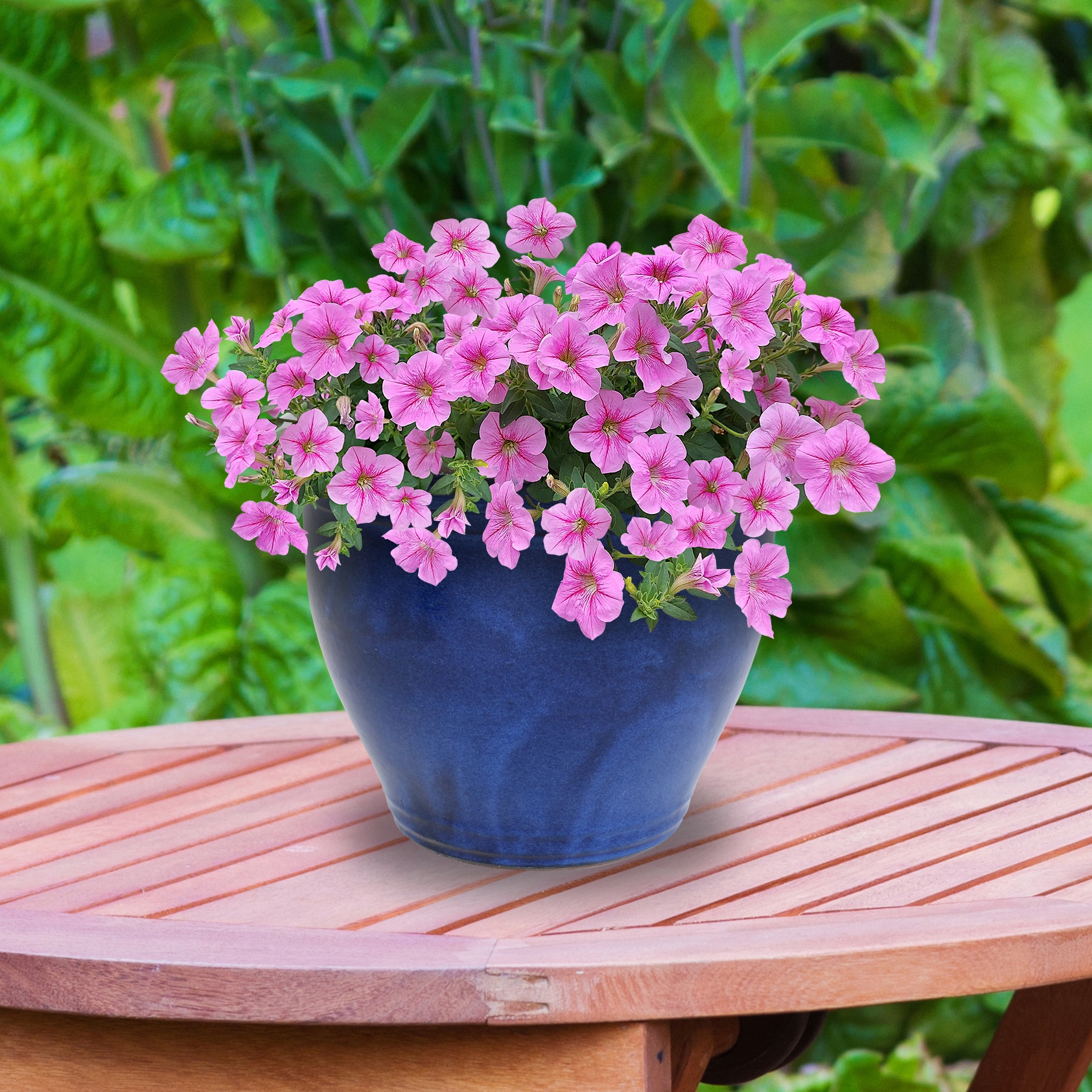 Sunnydaze Decor AP-933 Planter-Window-Box - View #13
