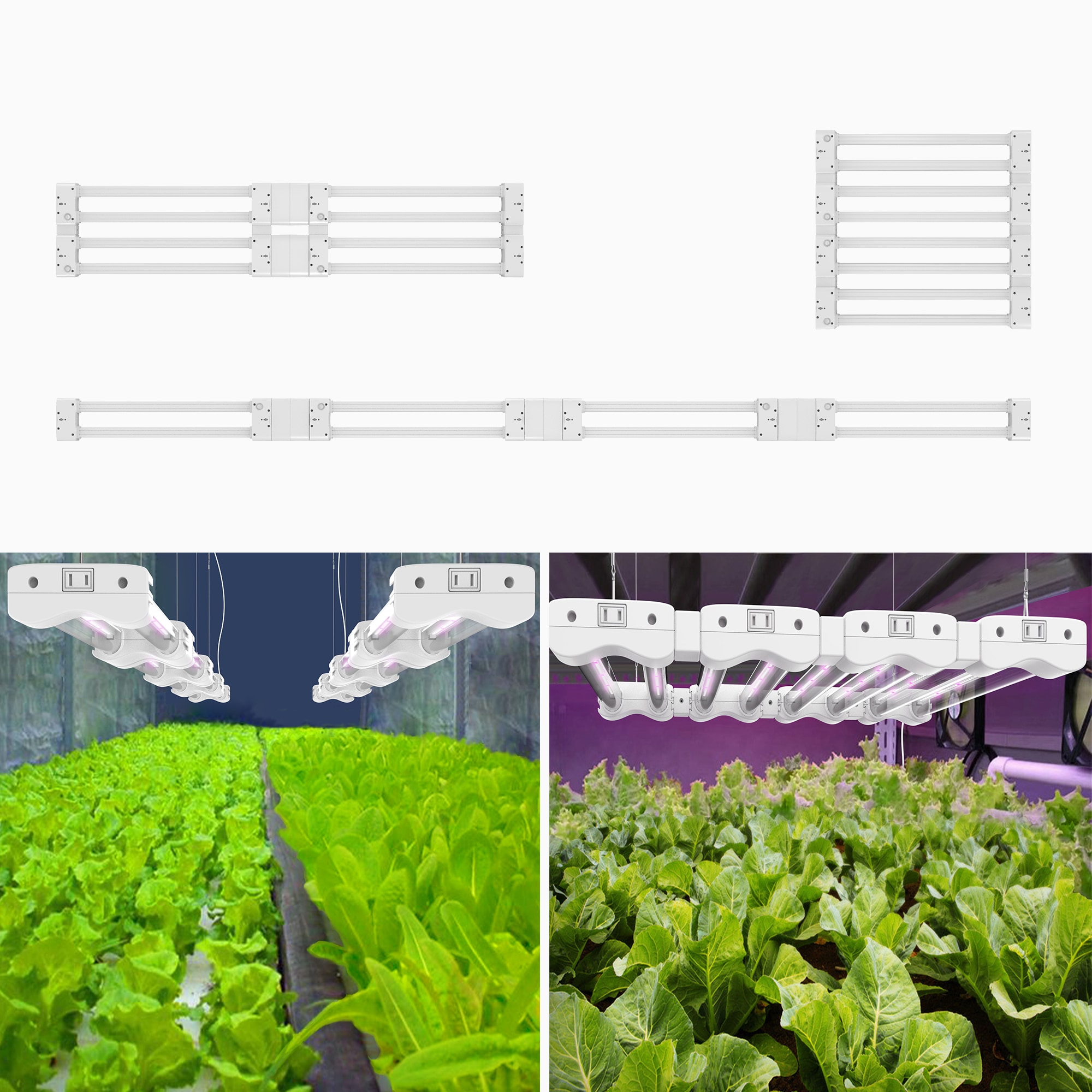 BOOST LIGHTING GL24WHTA1 Grow-Lights - View #5