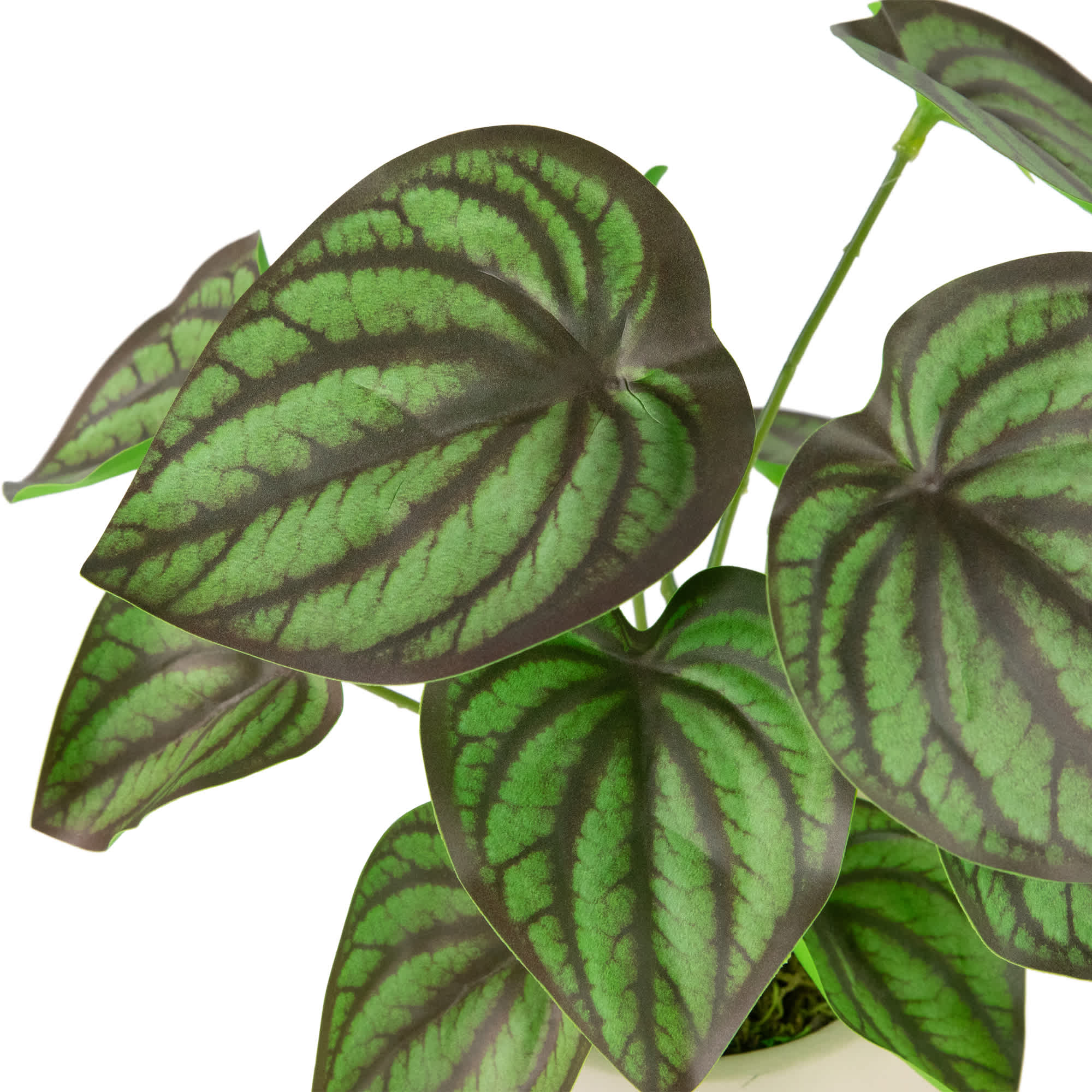 Northlight NORTHLIGHT SM99512 Artificial-Plants-Trees - View #6