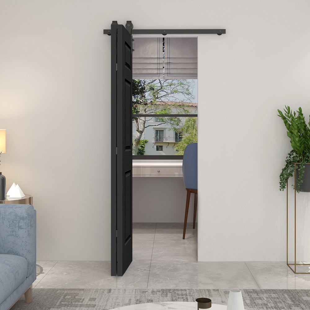 CALHOME 1100-2-S+6P-30D Barn-Doors - View #3