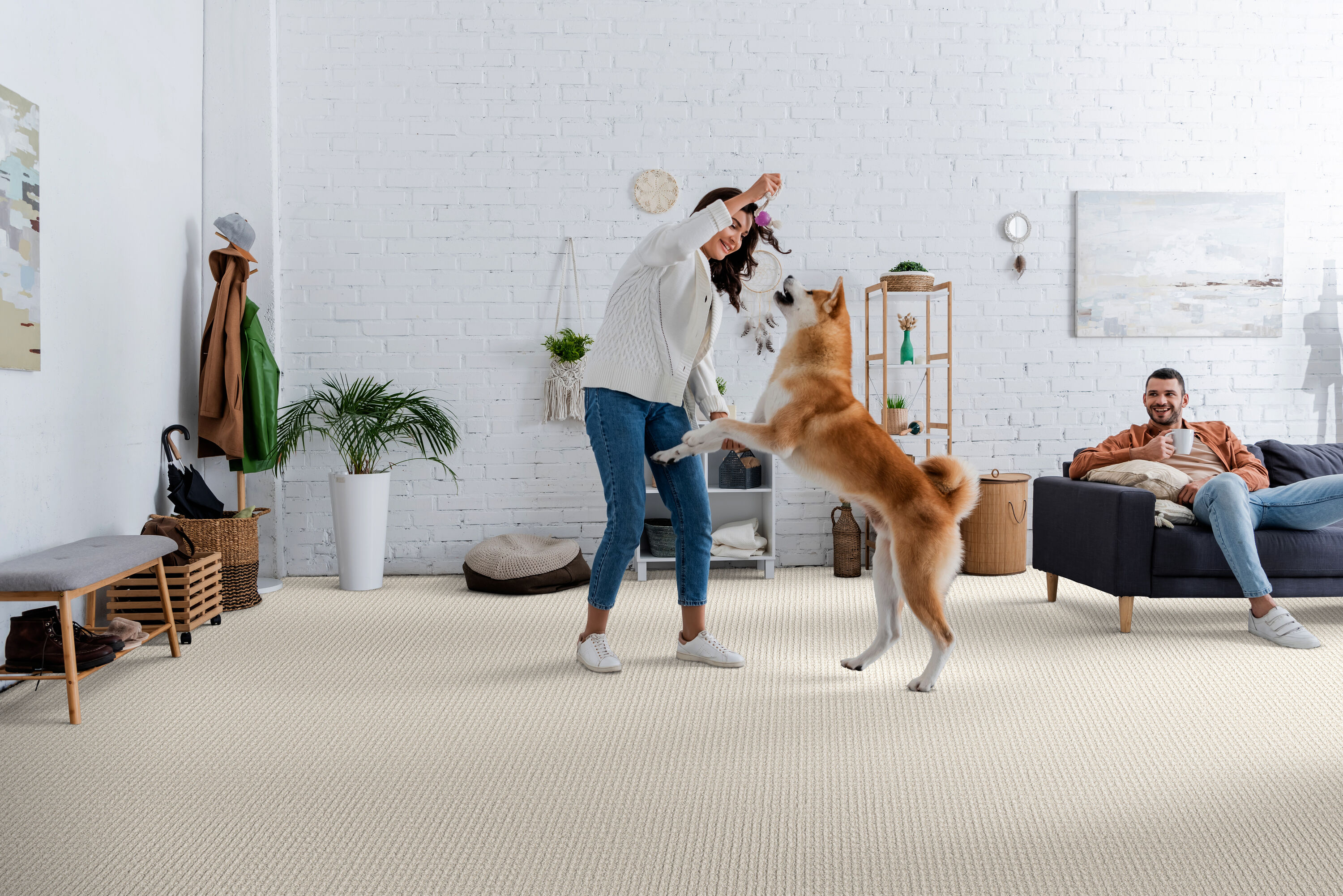 STAINMASTER PetProtect 7L885 - 102 - SAMP Carpet-Samples - View #2