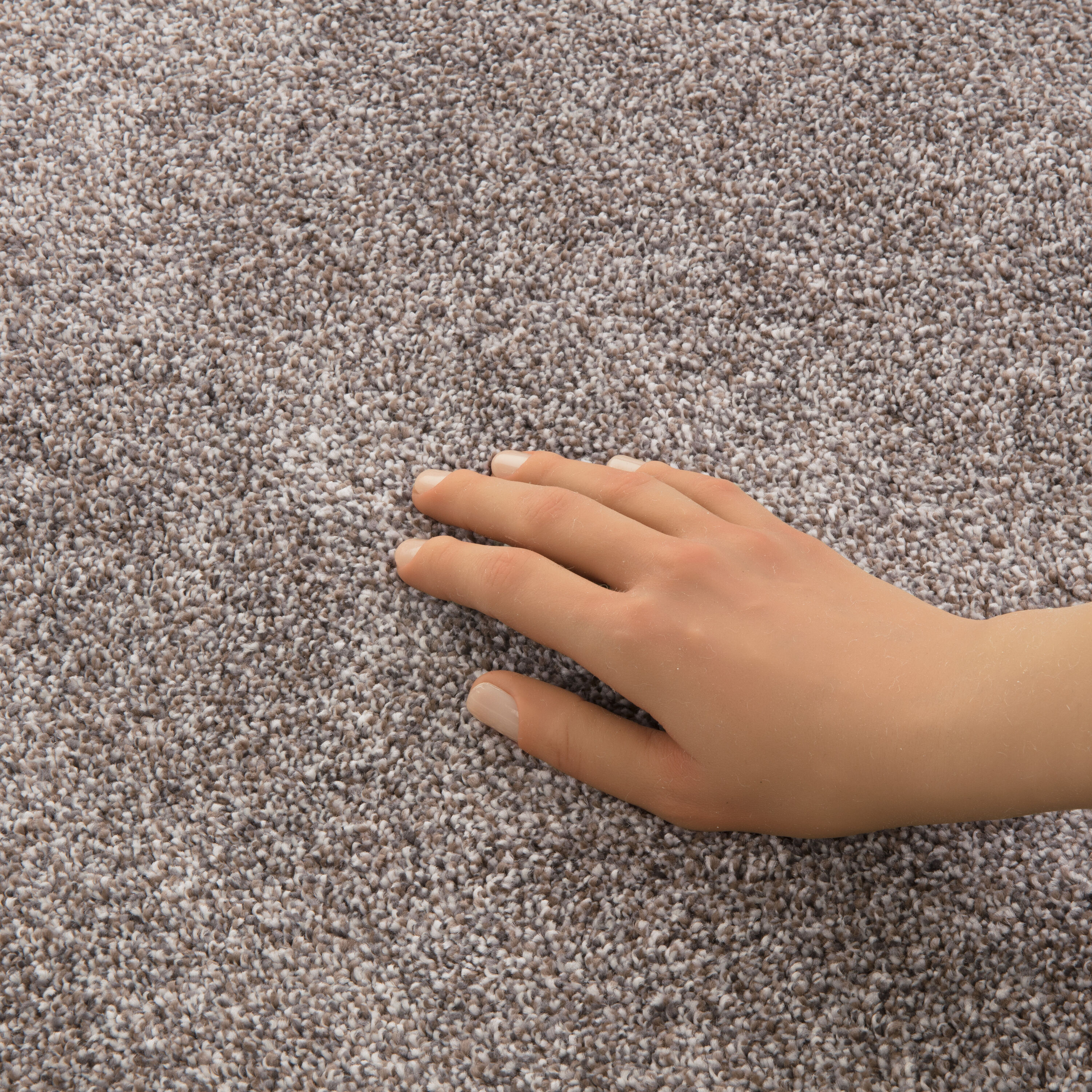 STAINMASTER PetProtect 7L994-766-SAMP Carpet-Samples - View #7
