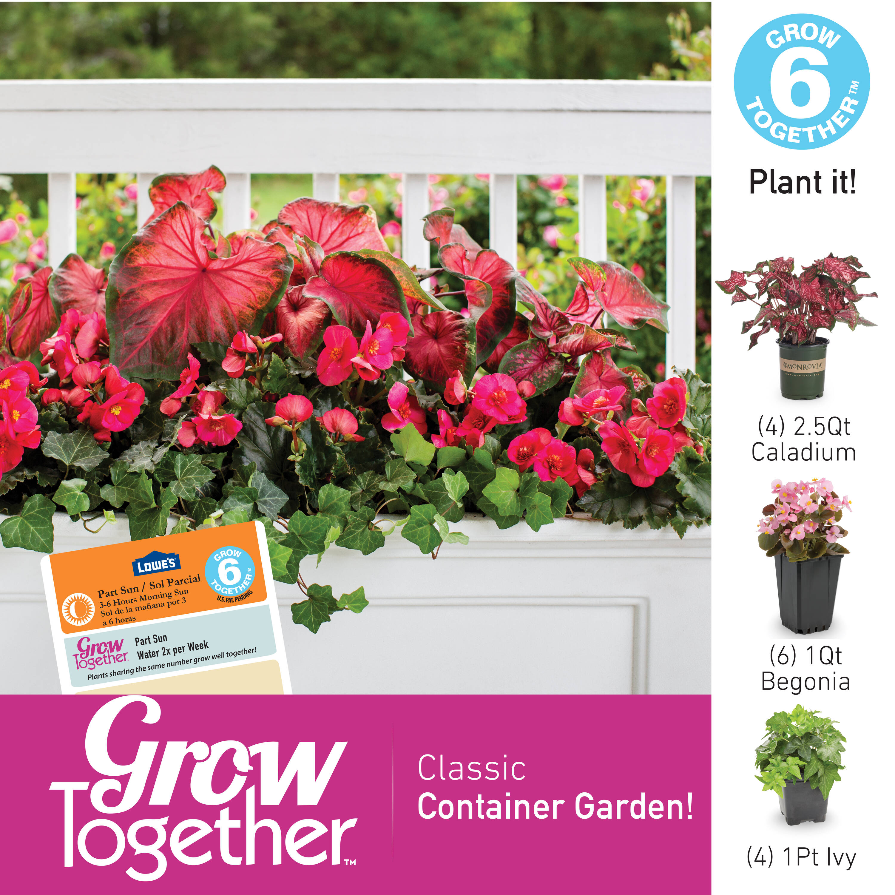Metrolina Greenhouses 78822 annuals - View #3