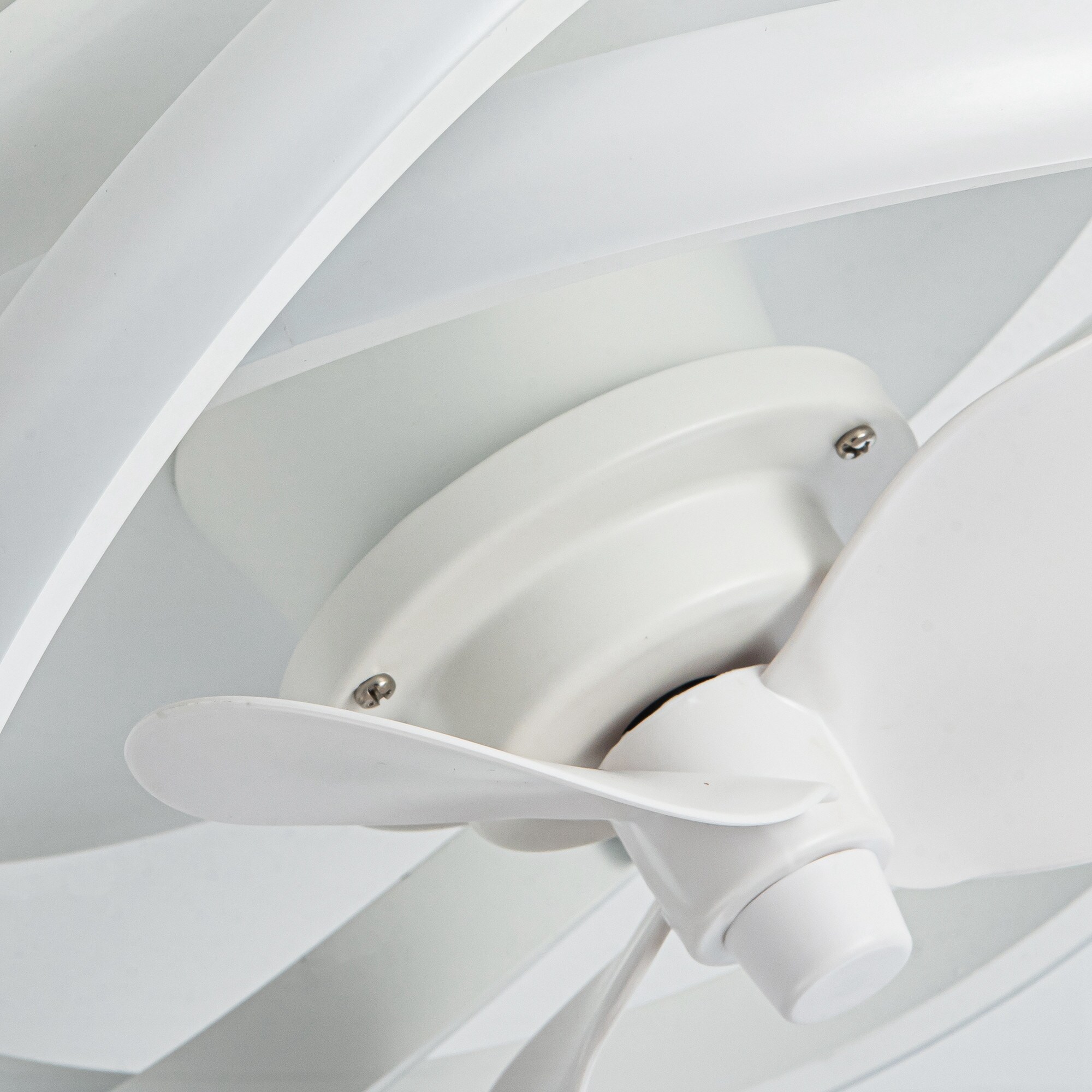 Parrot Uncle F8302110V Ceiling-Fans - View #13