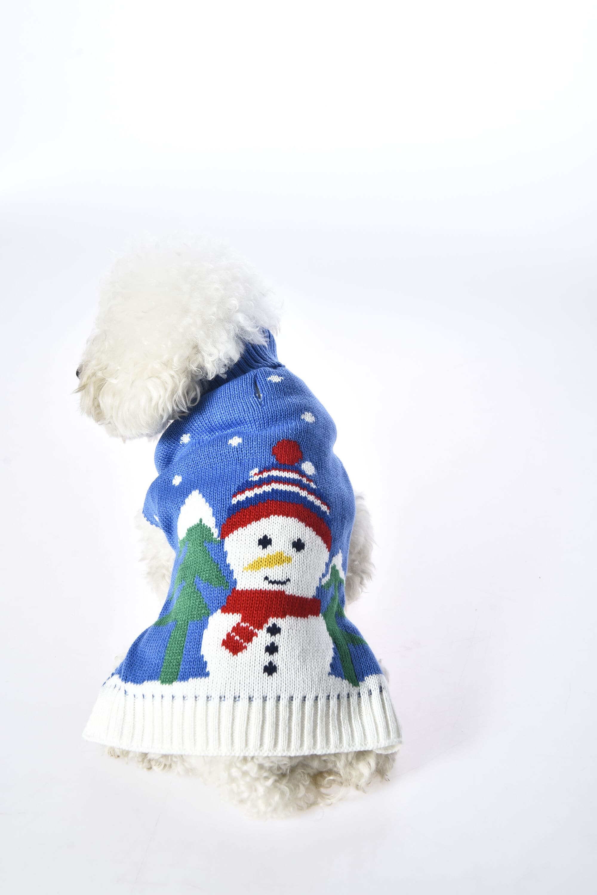 Holiday Living YJ2306-XS Dog-Apparel - View #7