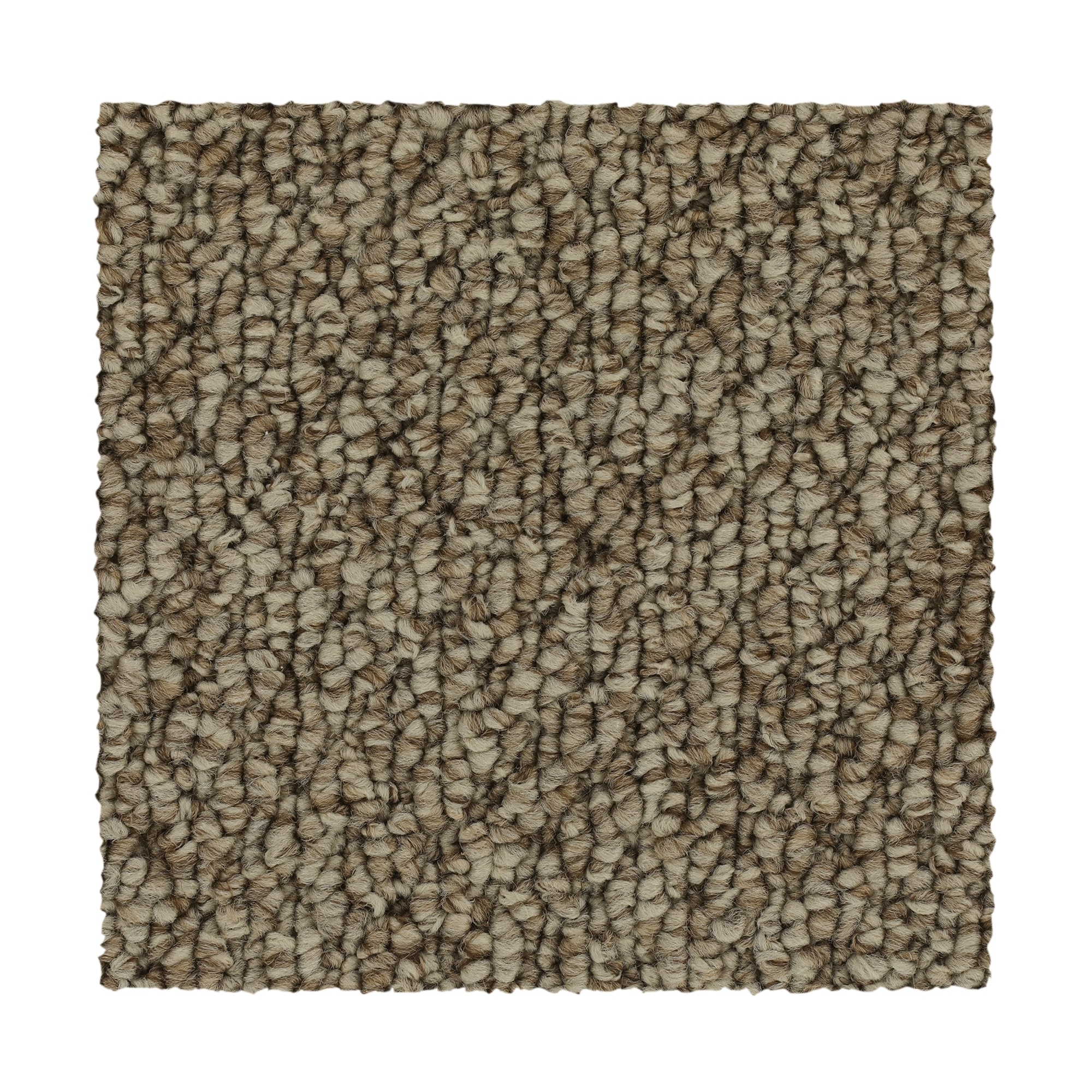  SS027-12-L001 Pro Renovations - Shaded Solace Heirloom Brown 25-oz sq yard Solution-dyed polyester Pattern Indoor Carpet