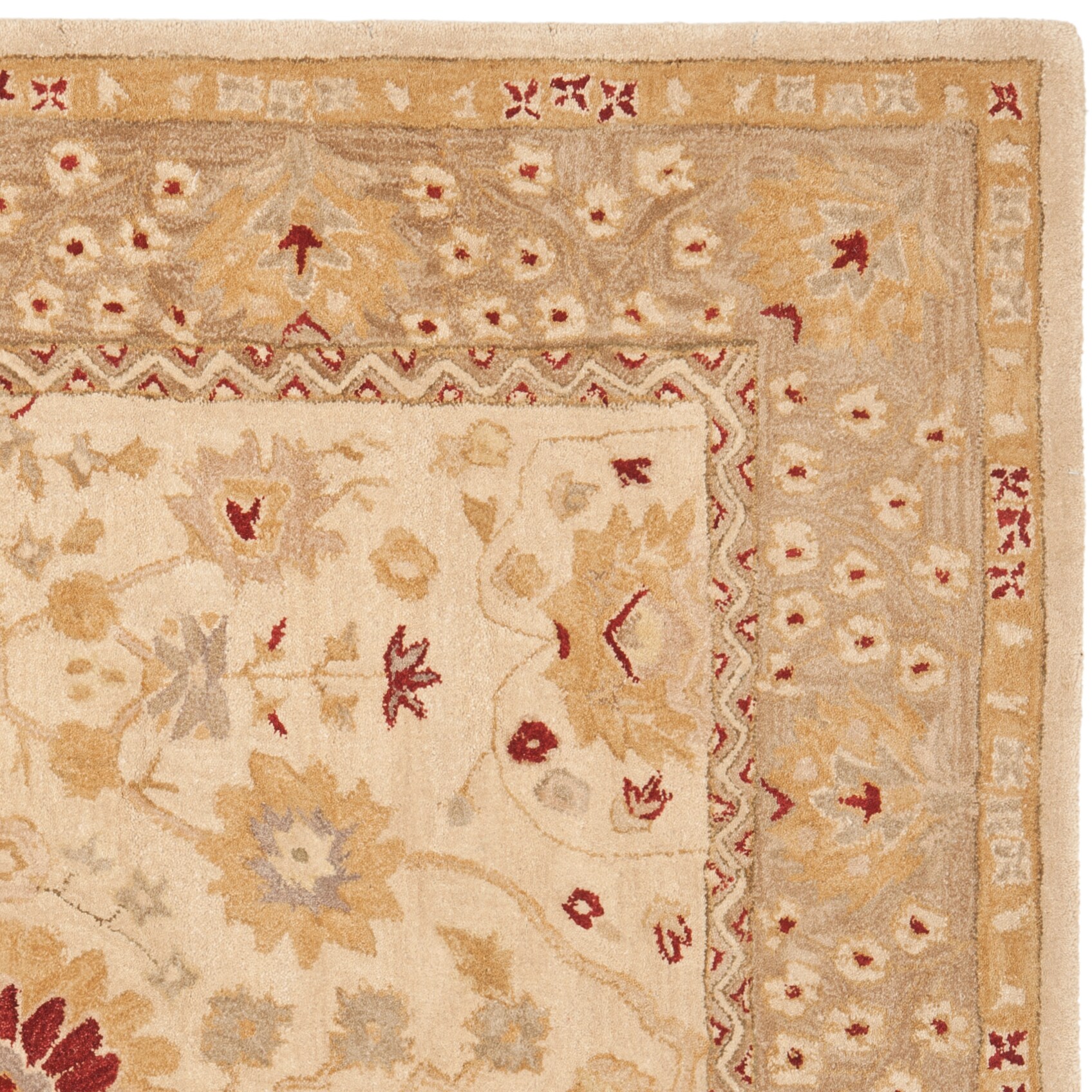 Safavieh AN550A-6SQ rugs - View #2