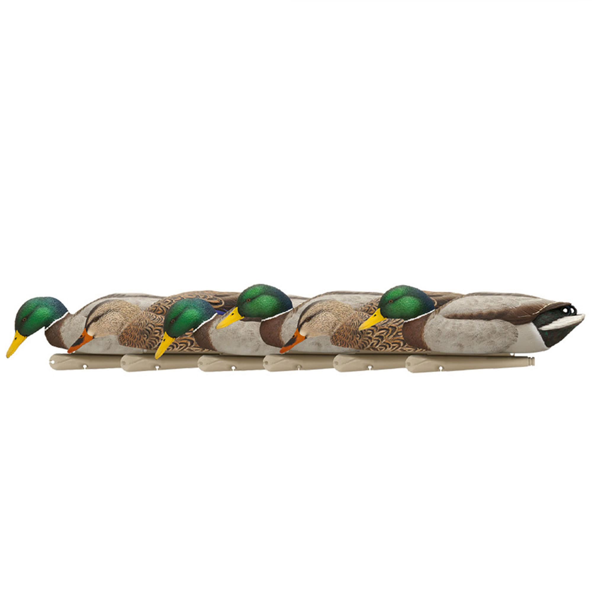  Avian X 399262 18 x 16.5 x 13 Inche(s) Decoy 6 -Pack