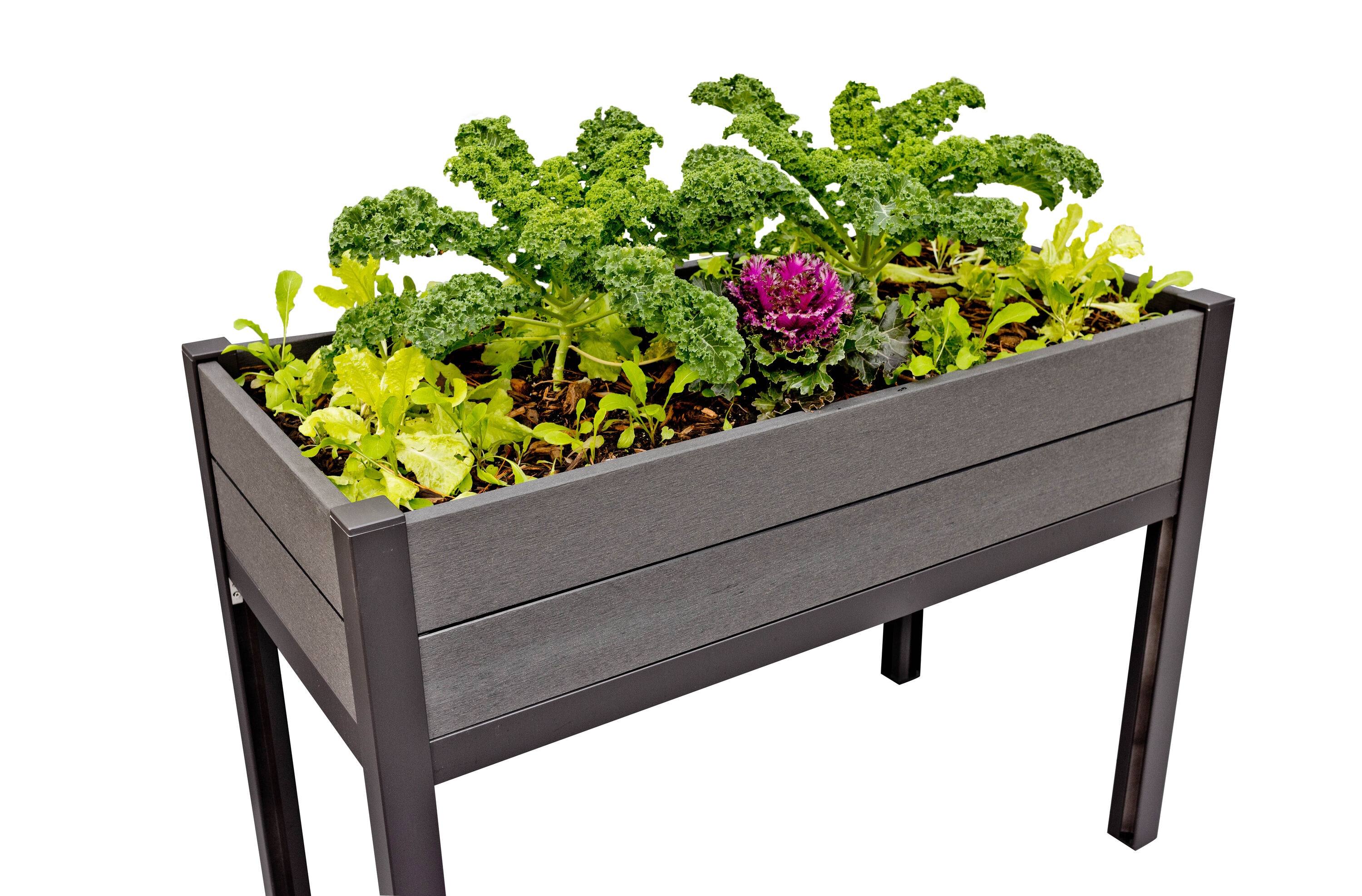 Frame It All 900001215 24-in W x 48-in L x 34.5-in H Gray Composite Raised Planter Box