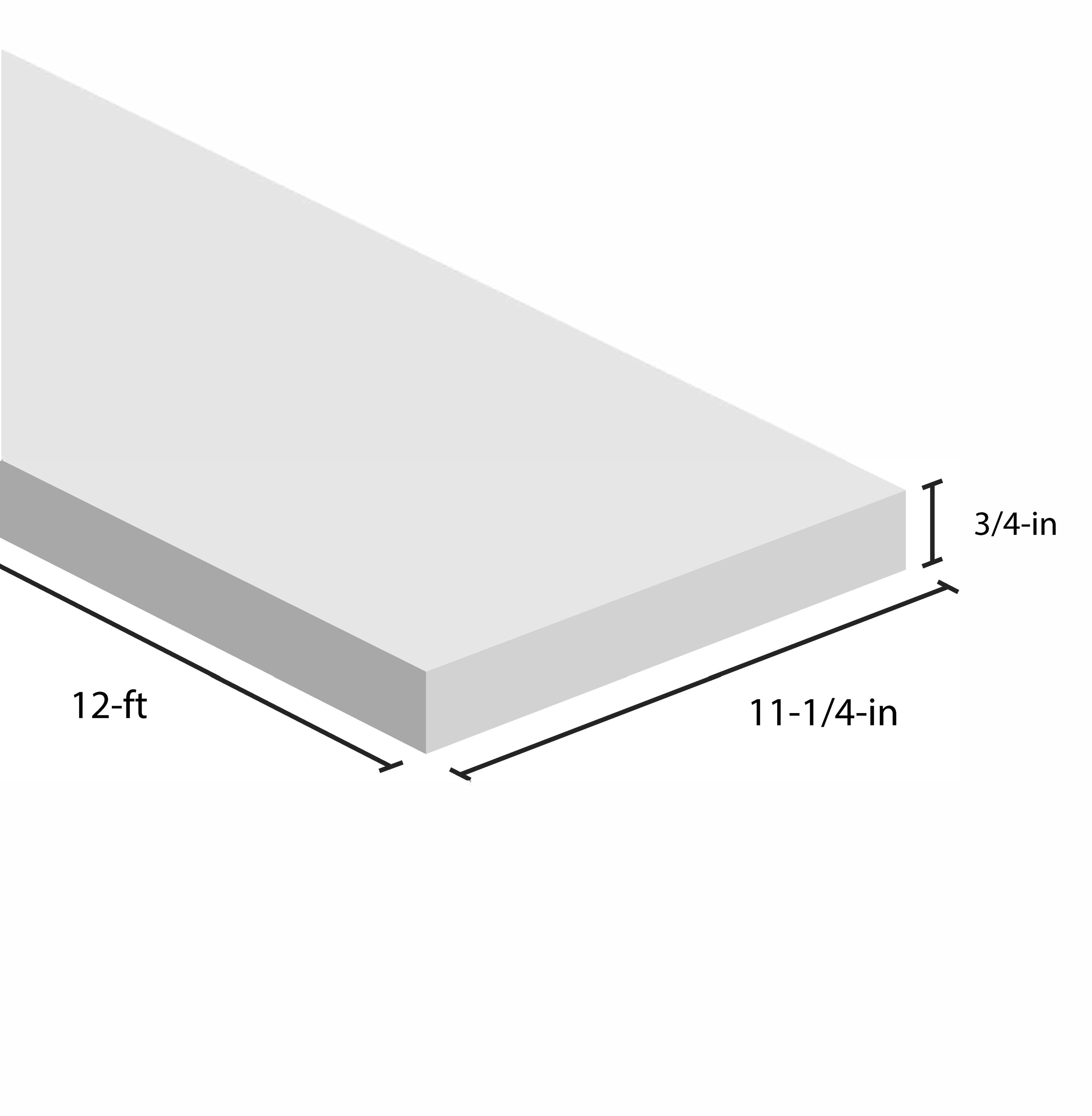 RELIABILT 1-in x 12-in x 8-ft Unfinished Whitewood Board at