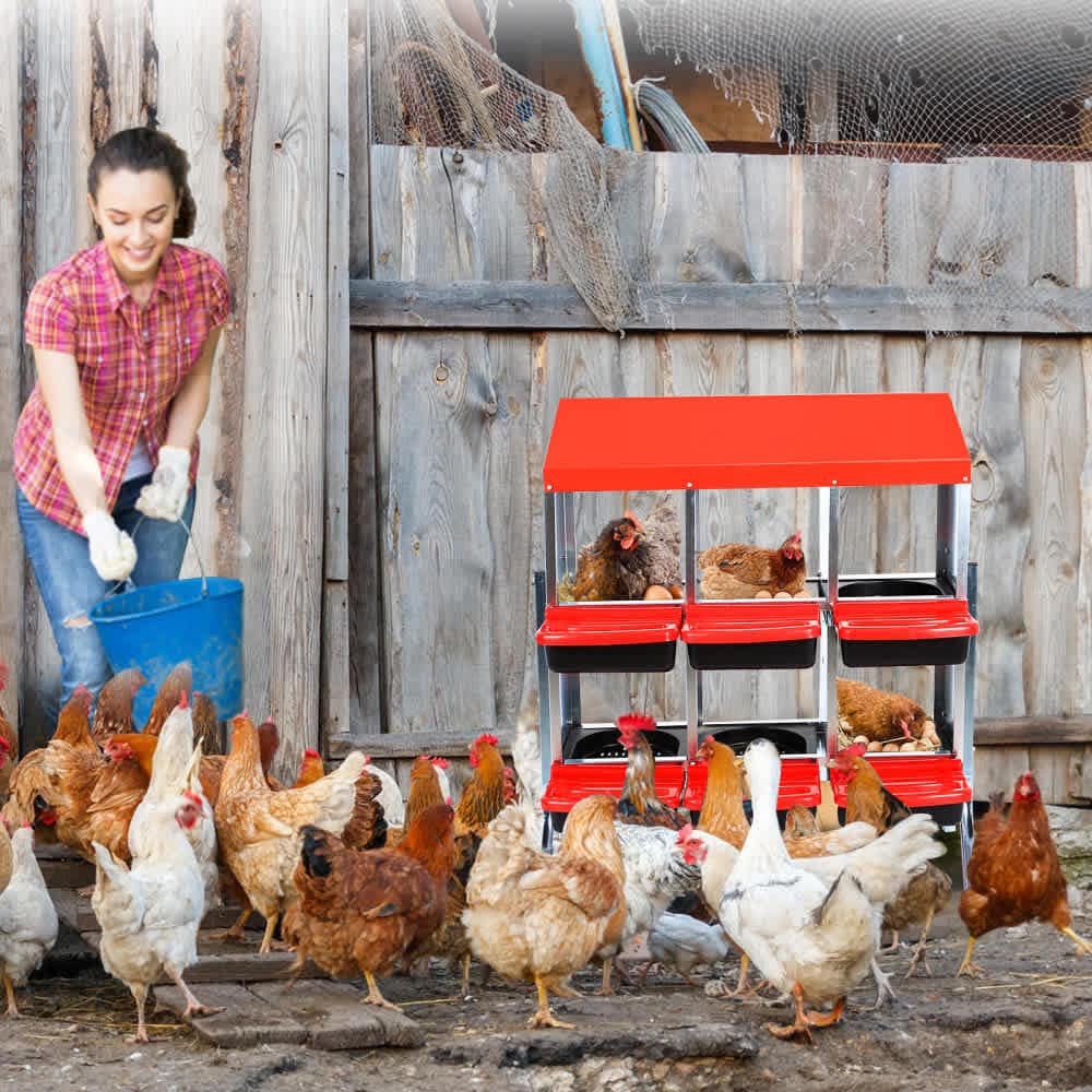 Qeetex WLS-PHO-15FE31DS Chicken-Coops-Rabbit-Hutches - View #7