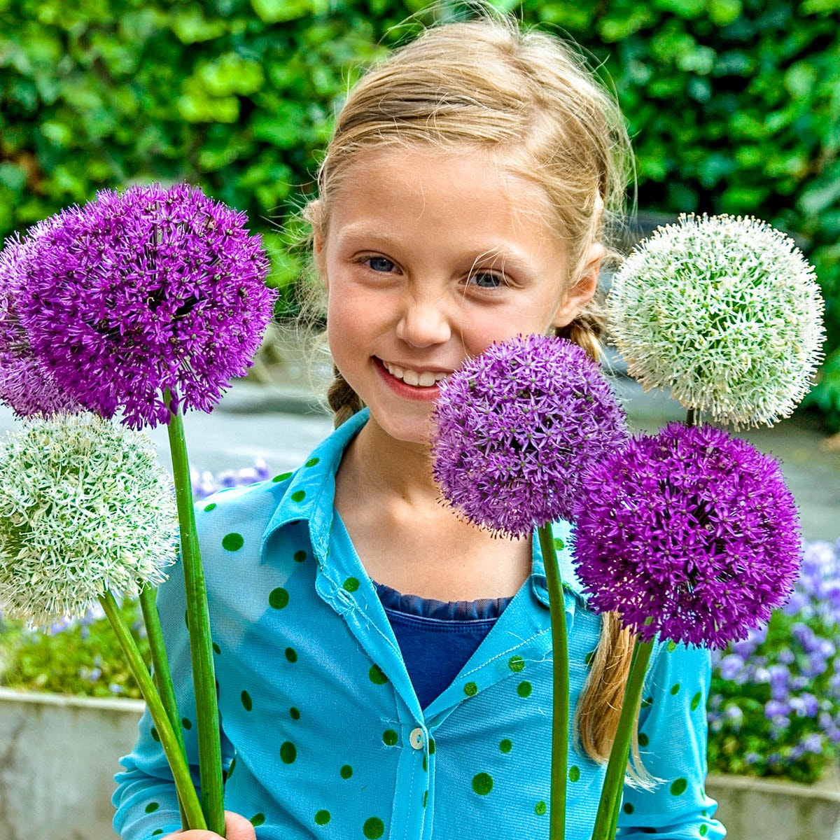 Breck's 72751 Plant-Bulbs - View #4