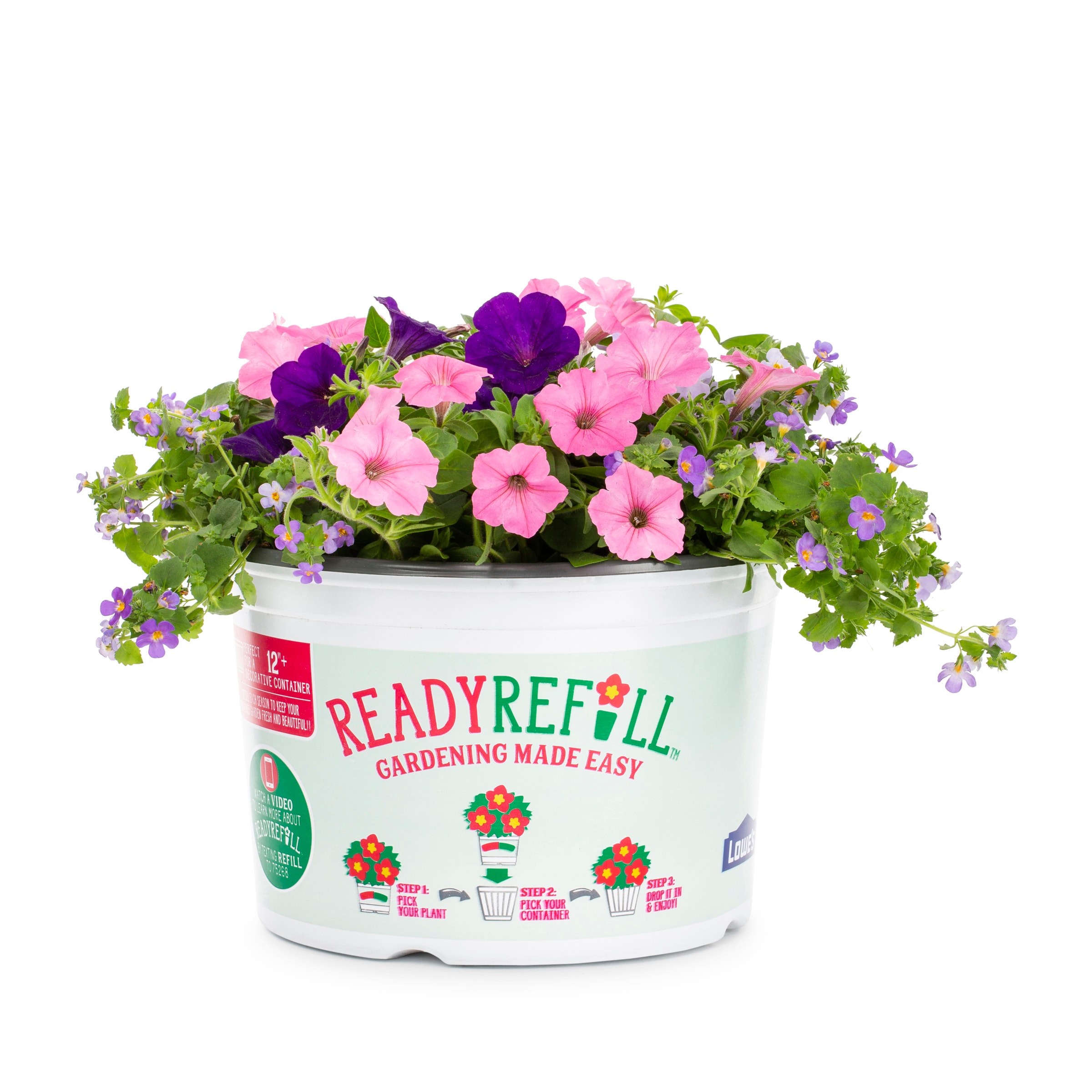 Ready Refill NURSERY Multicolor Shocking Storm in 2.5-Gallon Pot